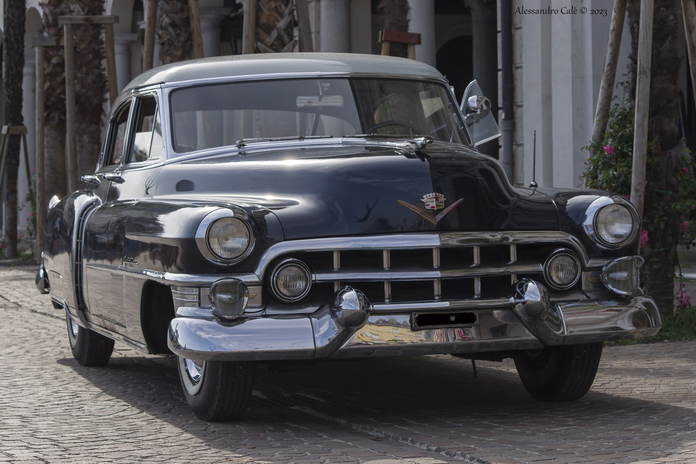 ...una vecchia Signora 1256