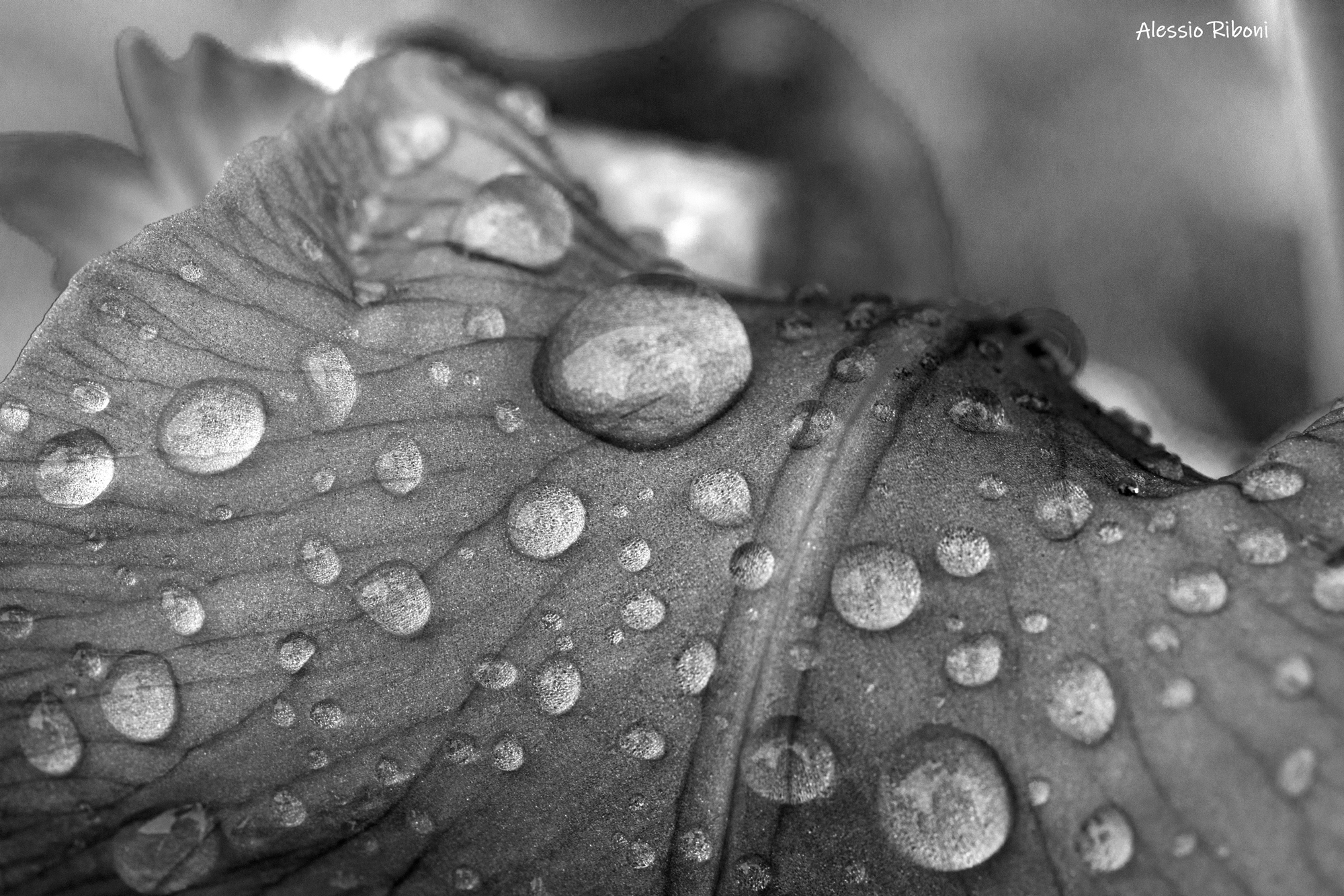 Untitled Photo