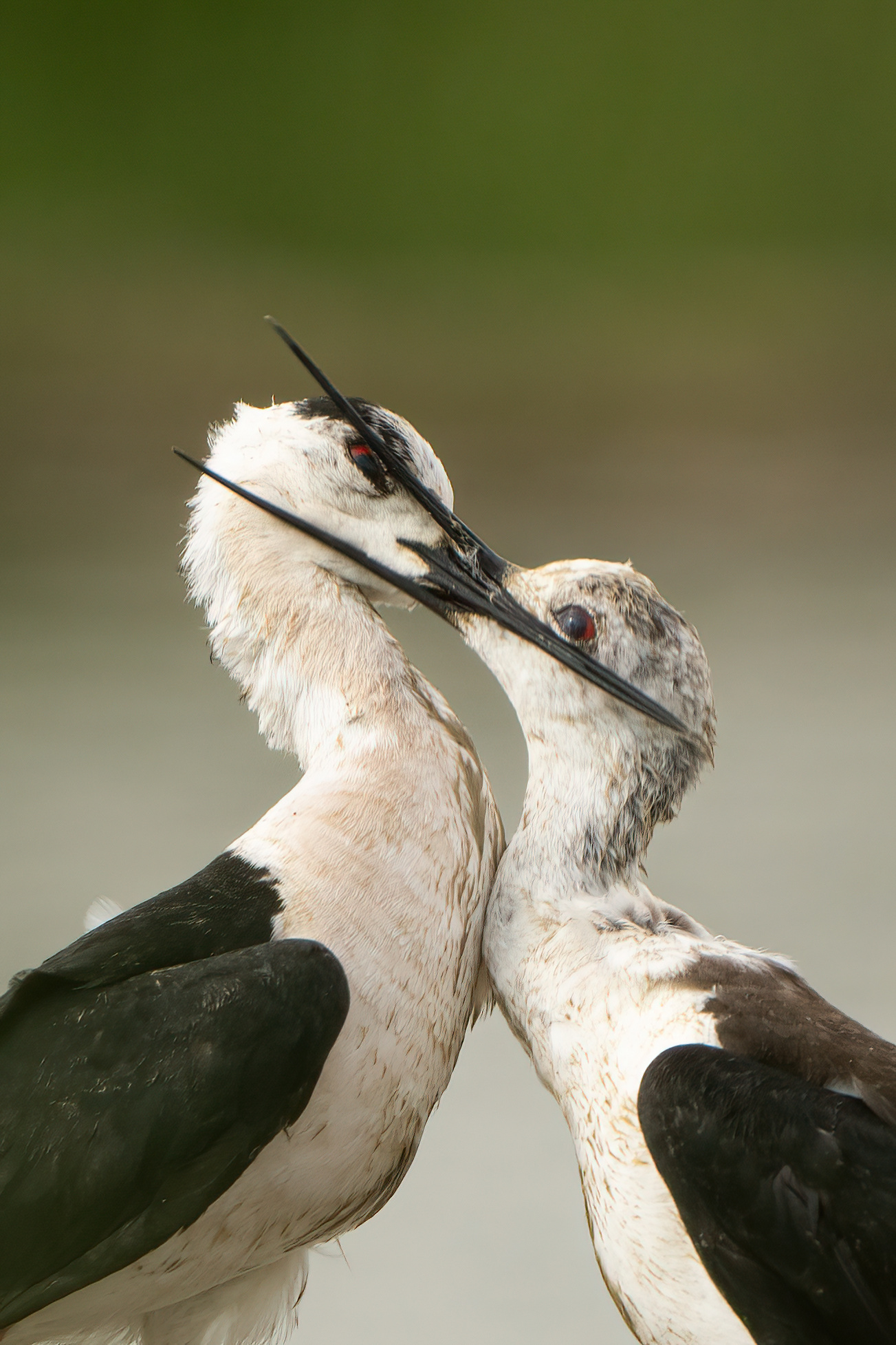 Details of a scuffle