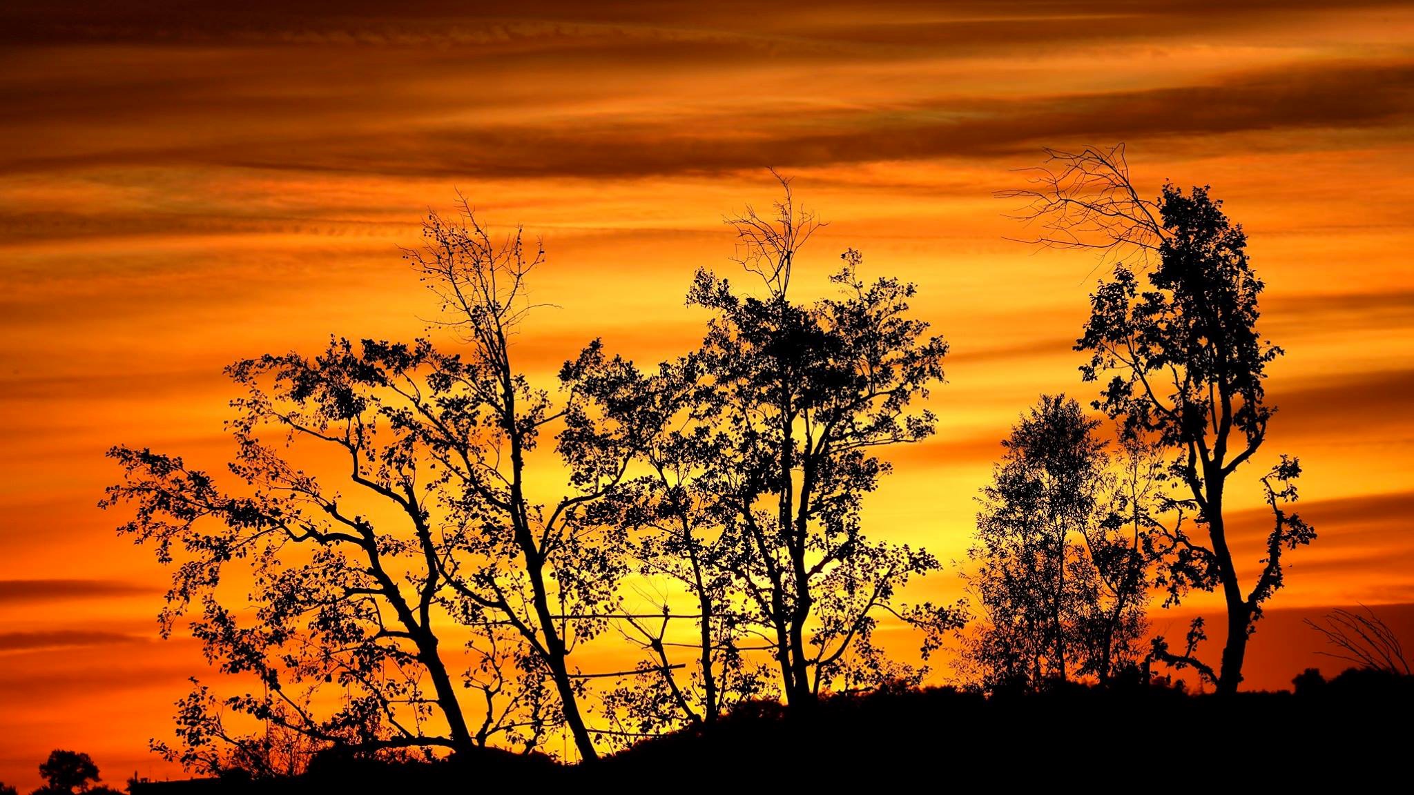 Domani è un'altro giorno