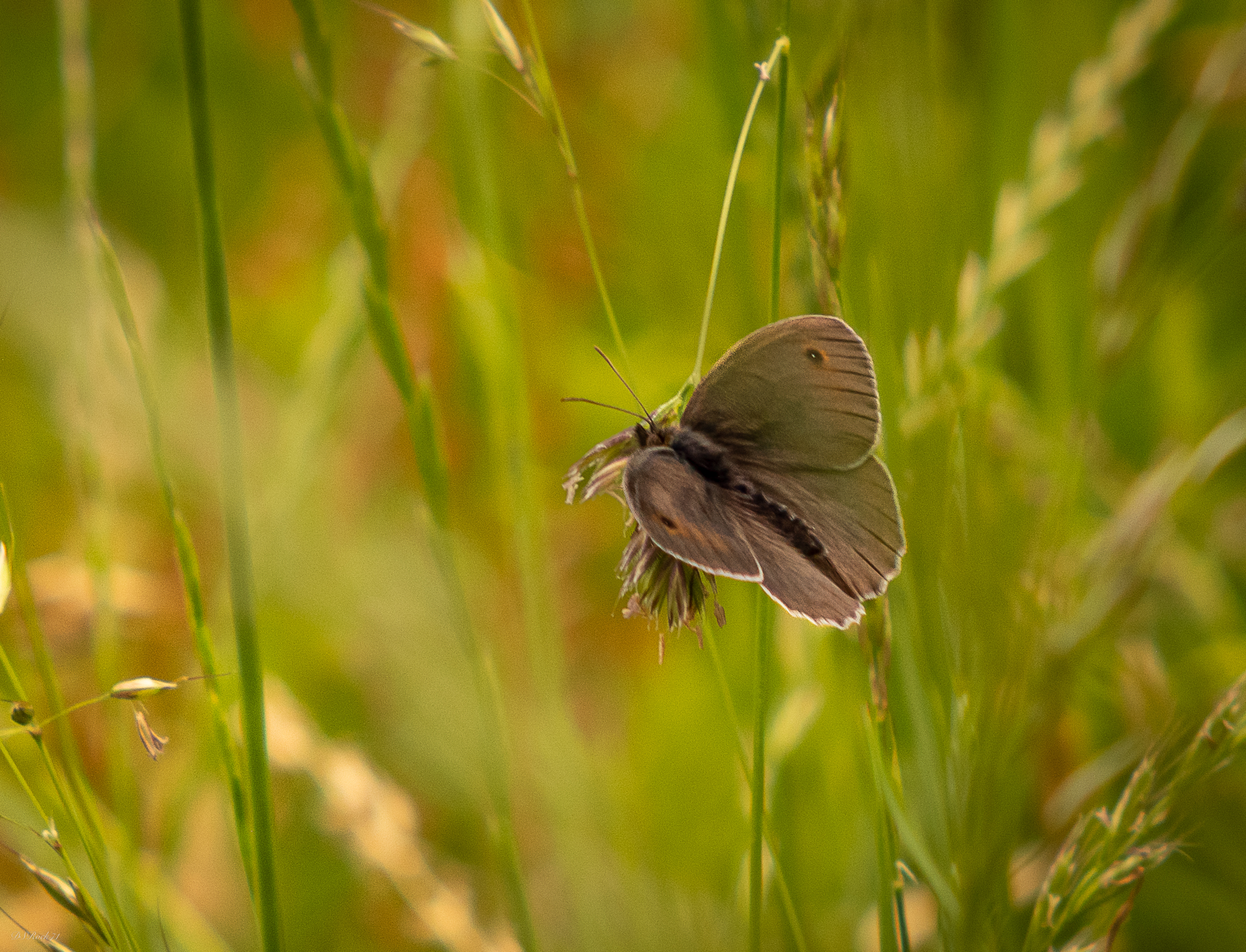 ... Keep the doctor away...