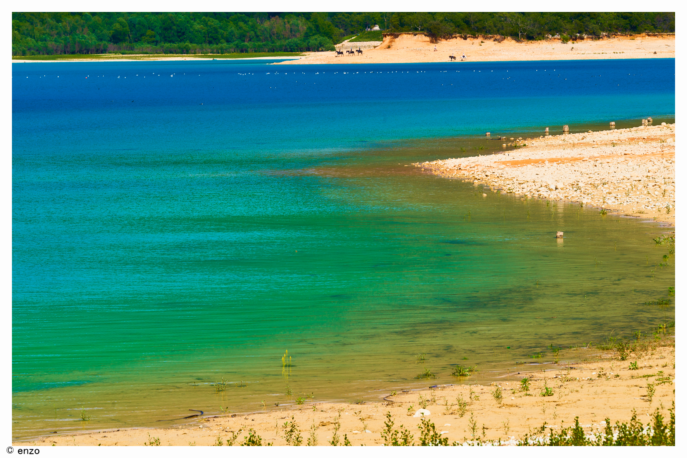 st croix SHADES BLUE