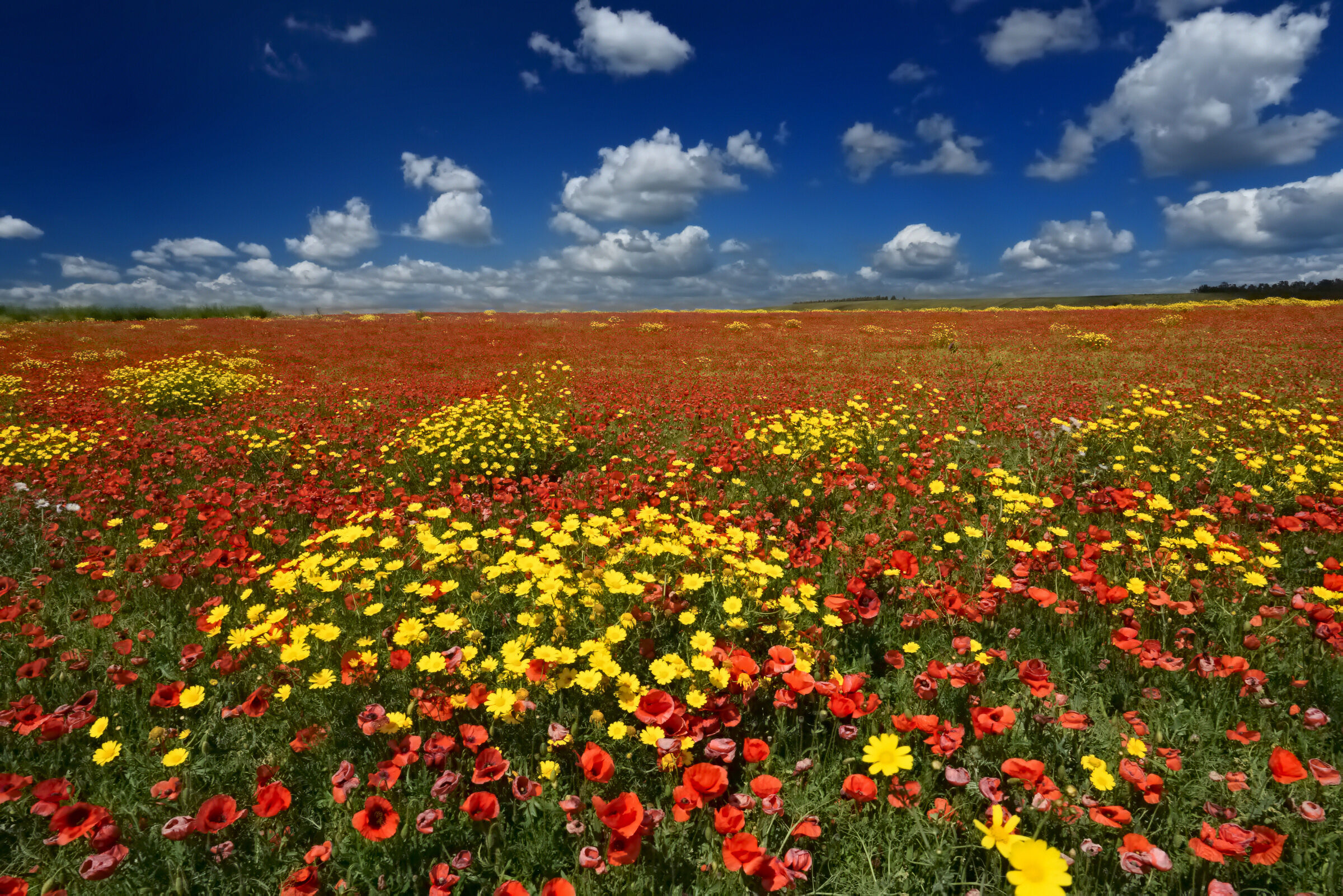 Uno sguardo verso l' infinito ...