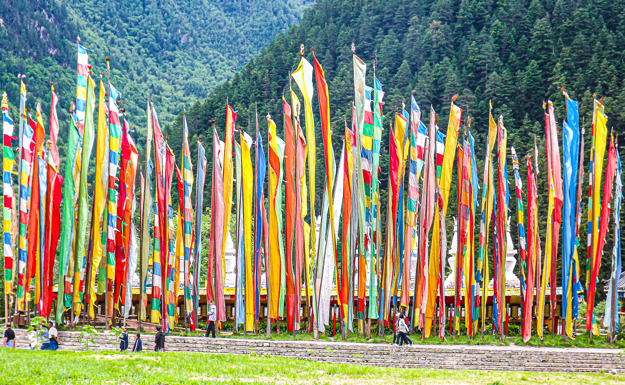 festa di colori