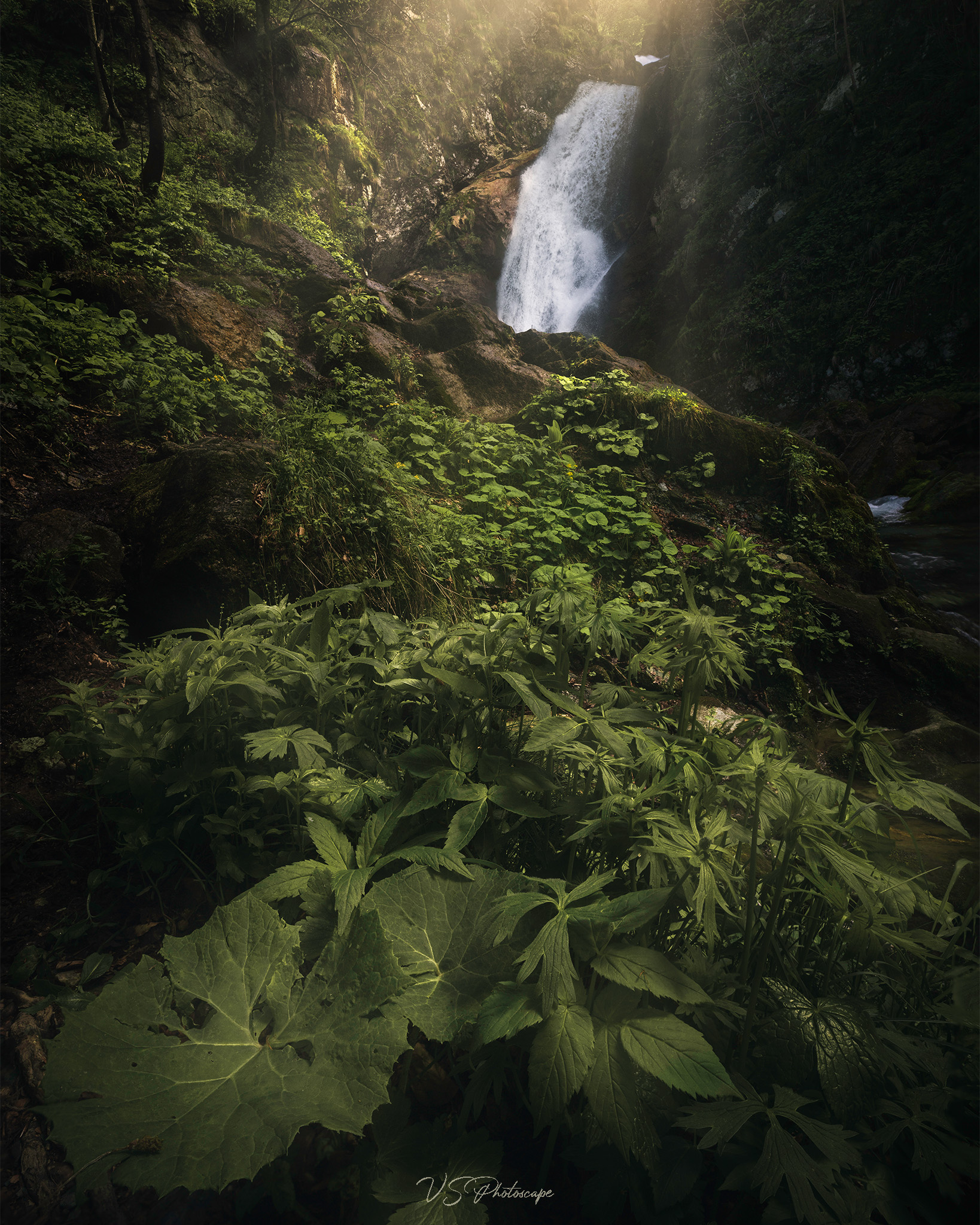 Journey through the Alps