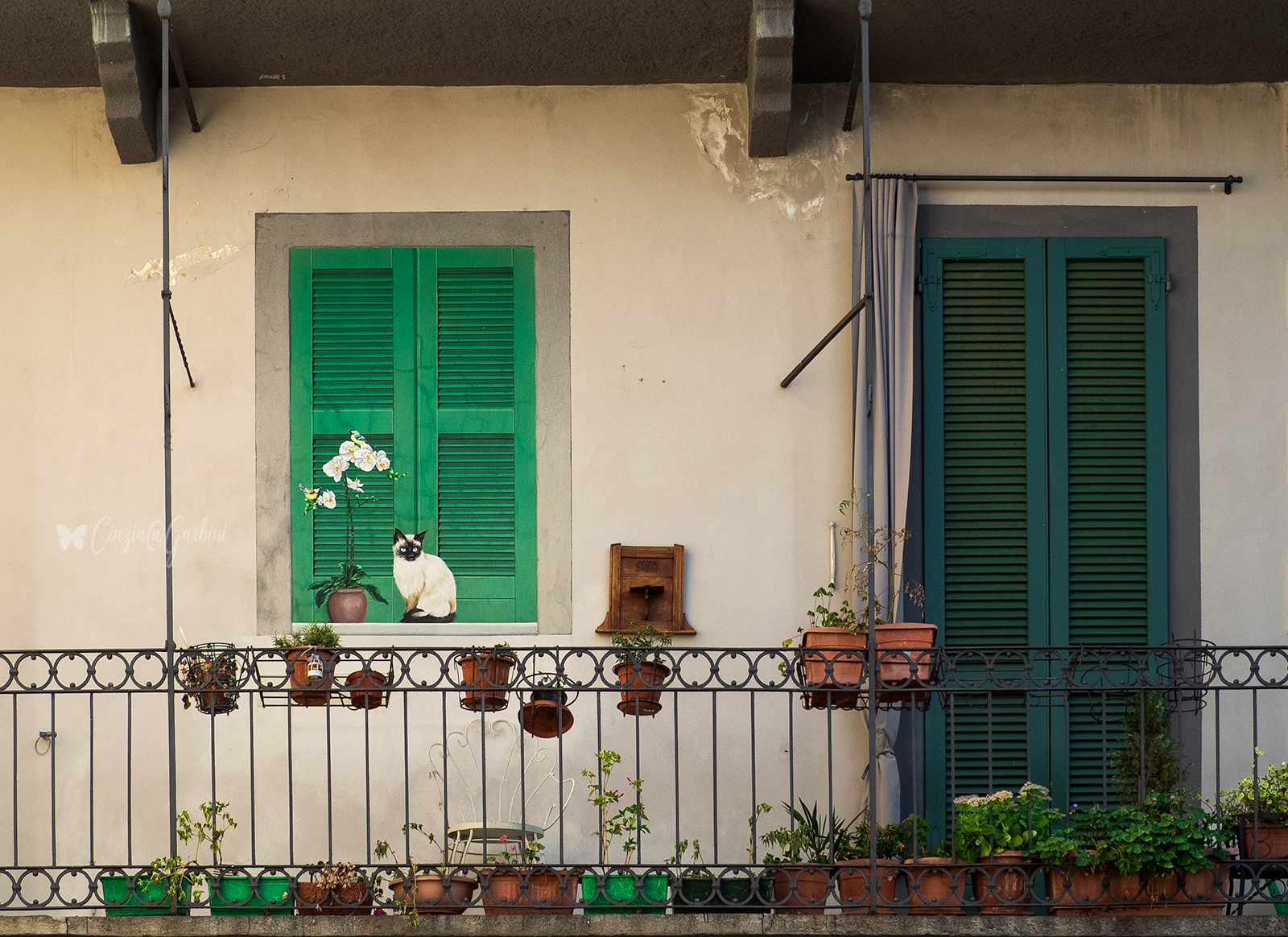 a cat on the window that burns