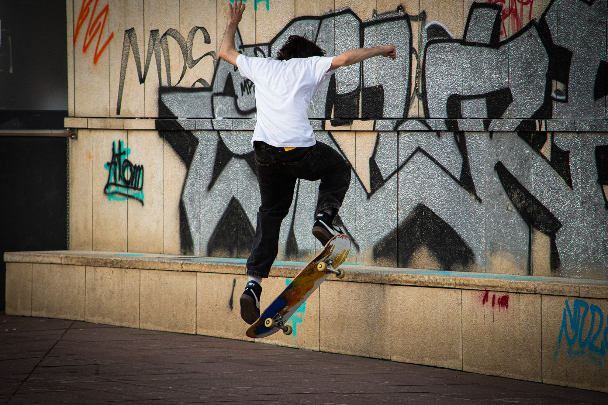 skate park torino