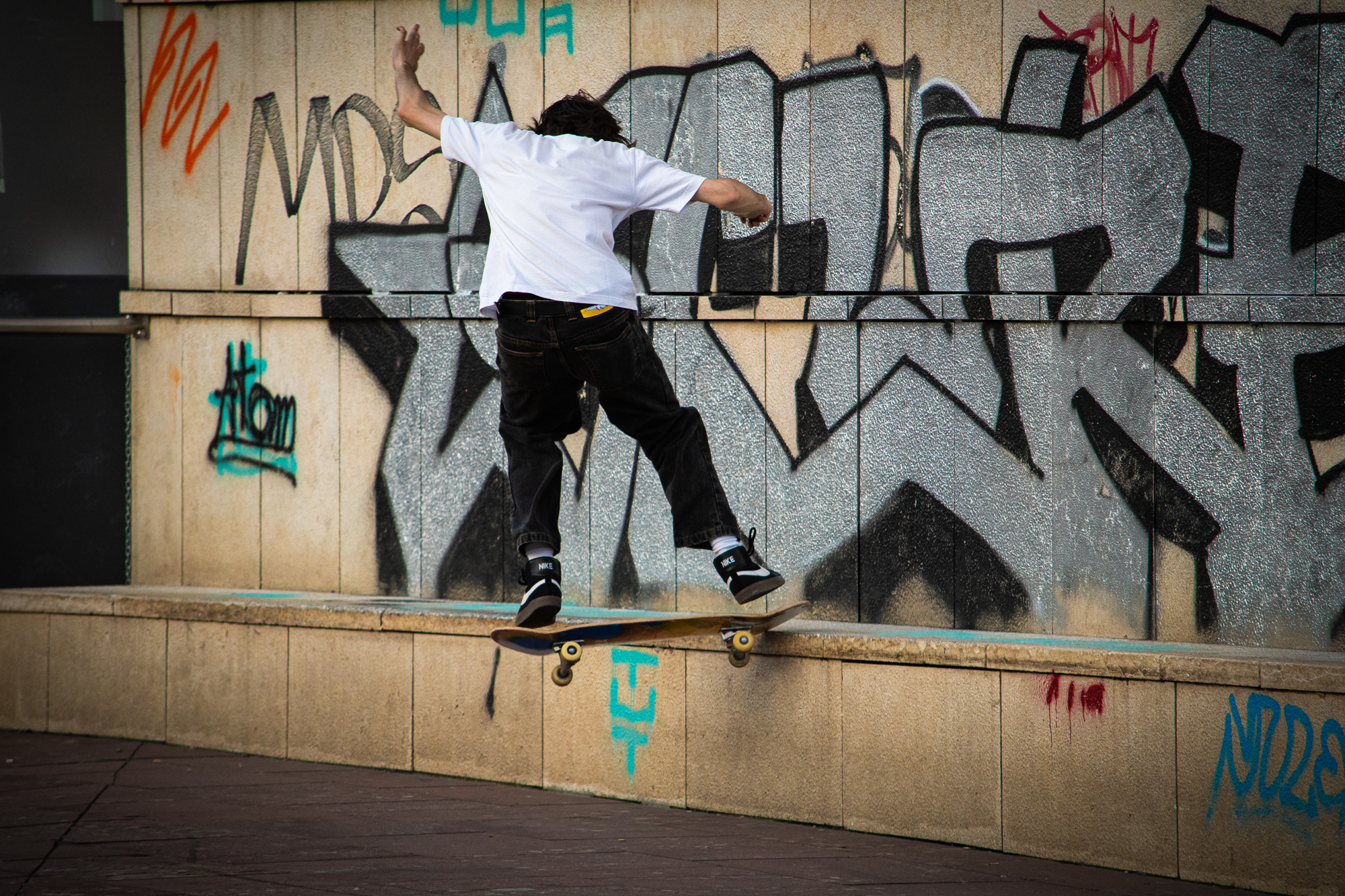 skate park torino