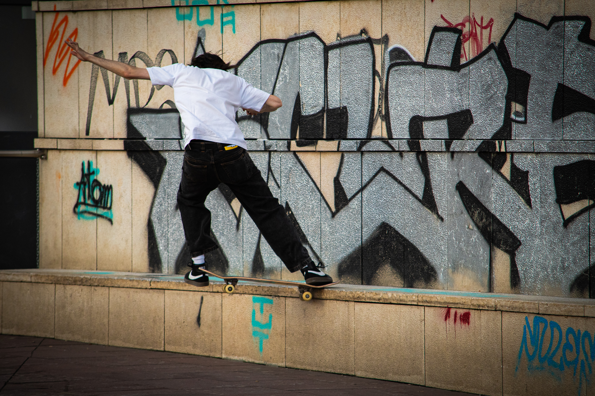 skate park torino