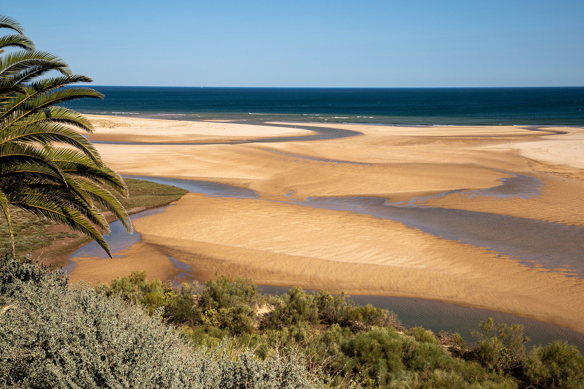 Bassa marea in..... bianco e nero.