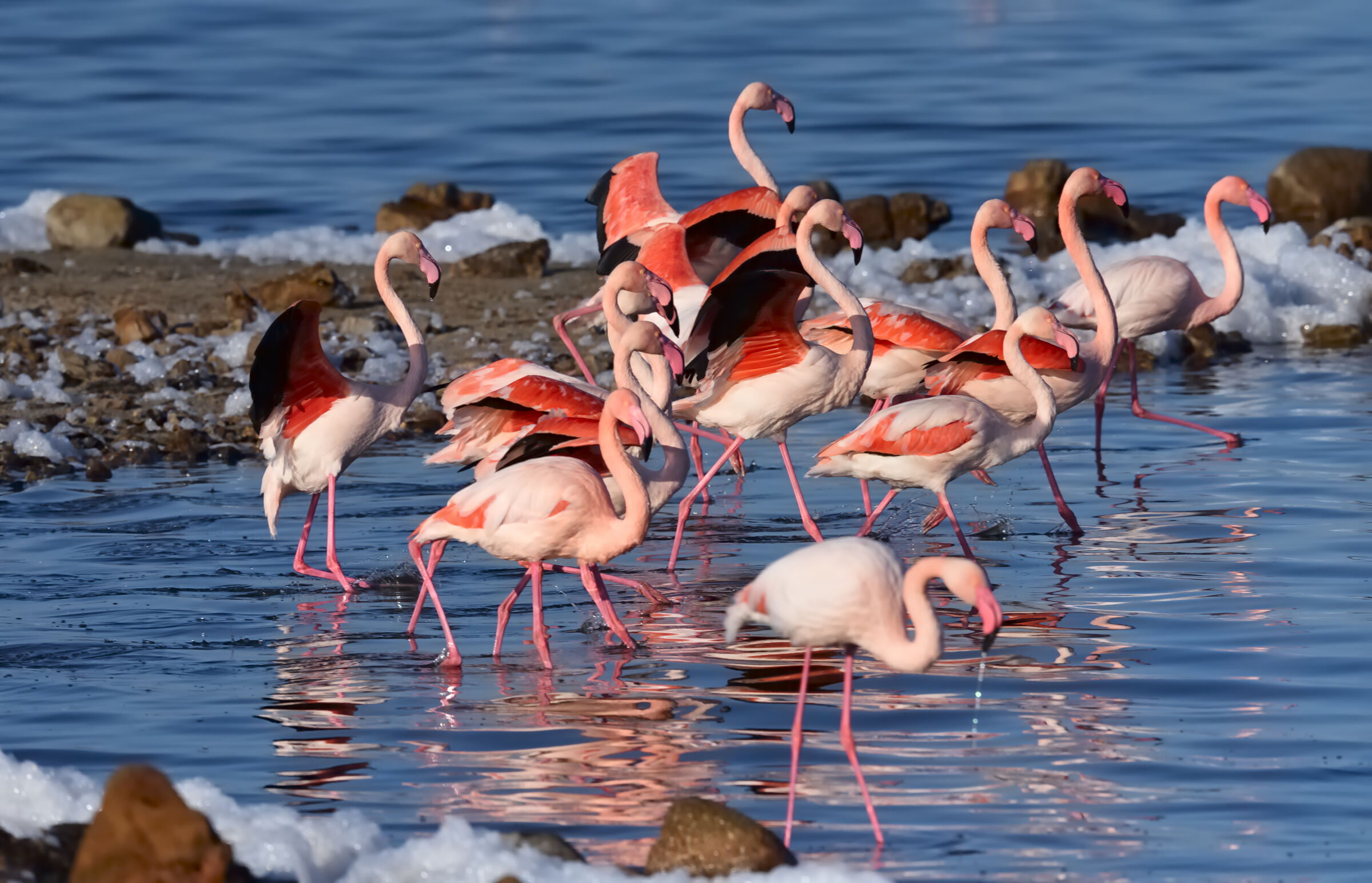 The colors of the lagoon