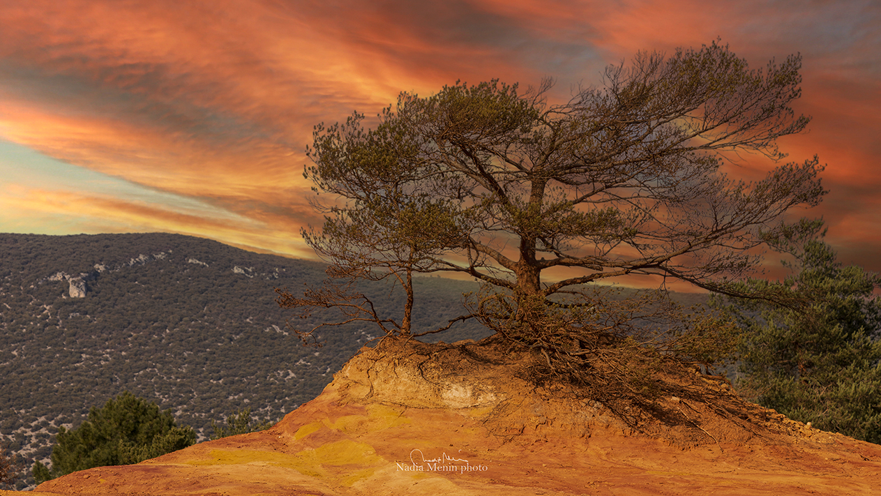 Path of the Ocre