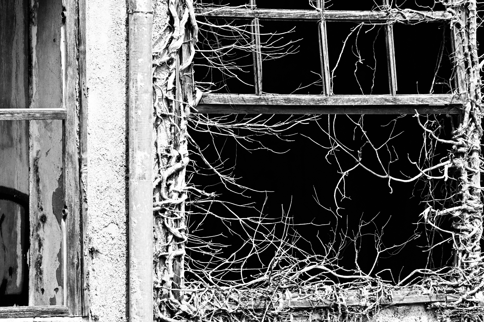 Untitled Photo