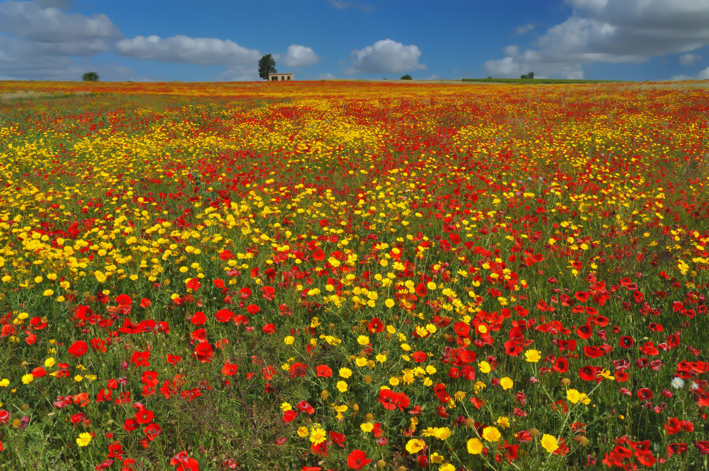 I colori della Sardegna