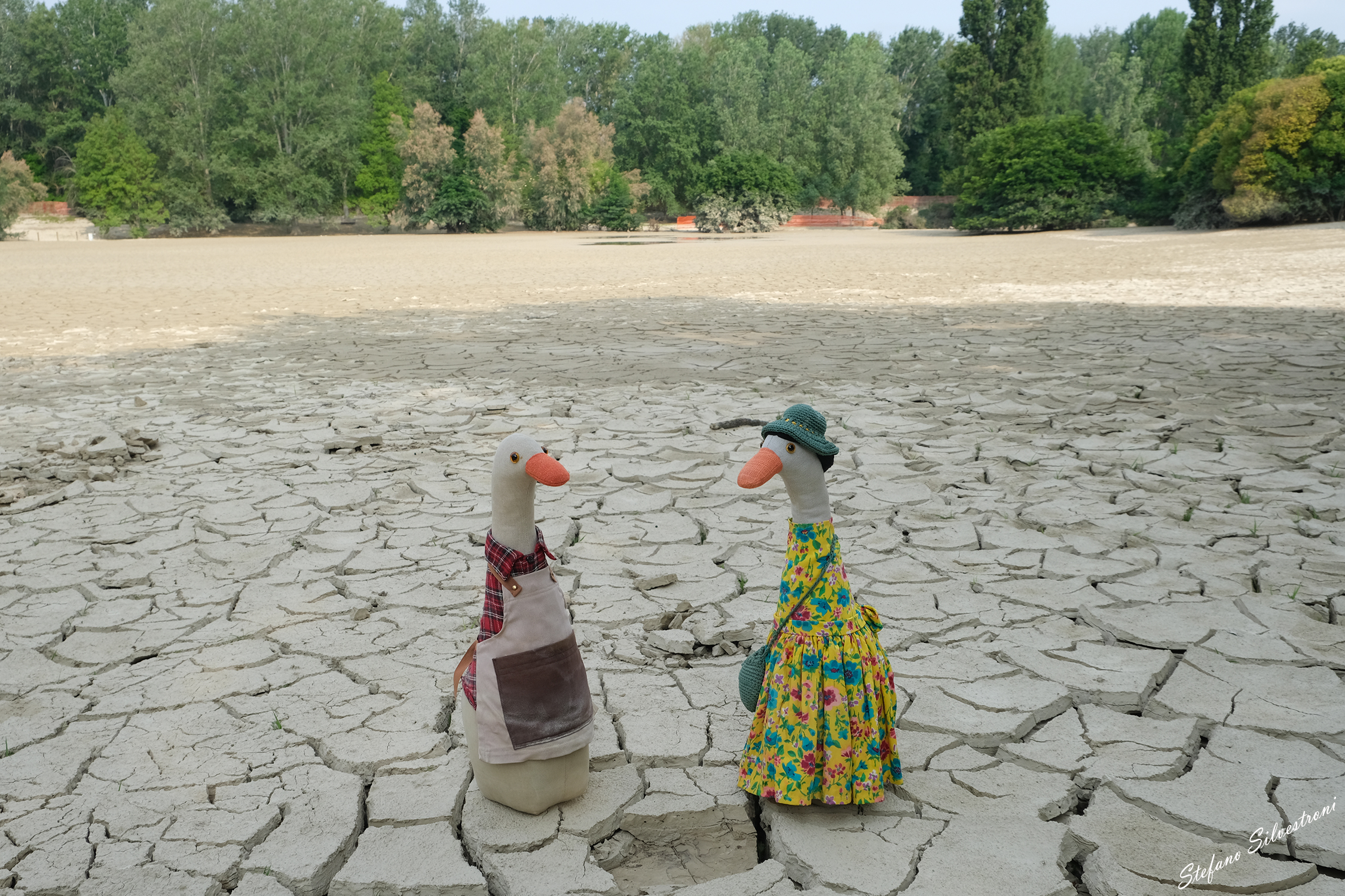 "Where there was grass... "