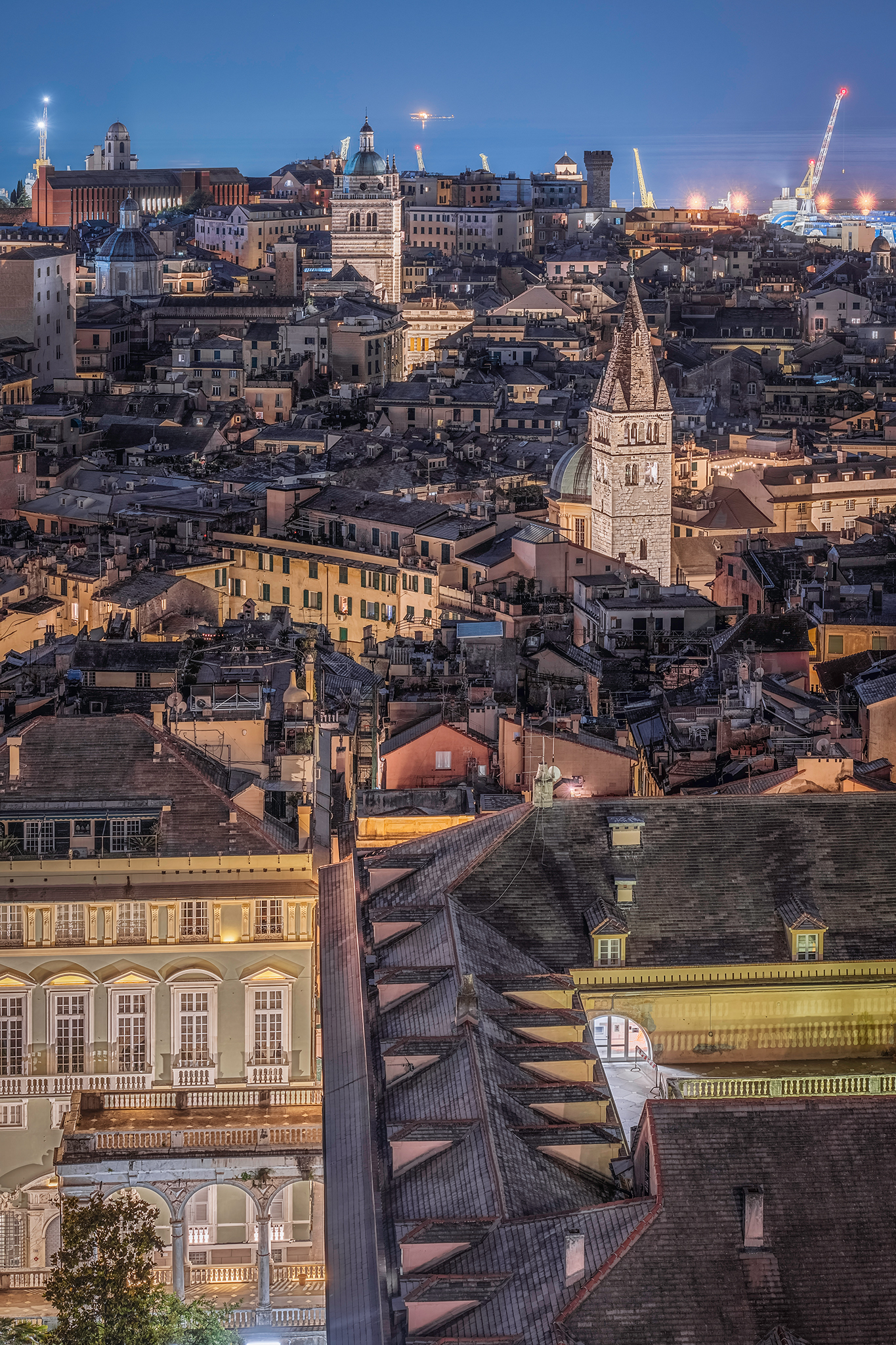 The roofs of Genoa