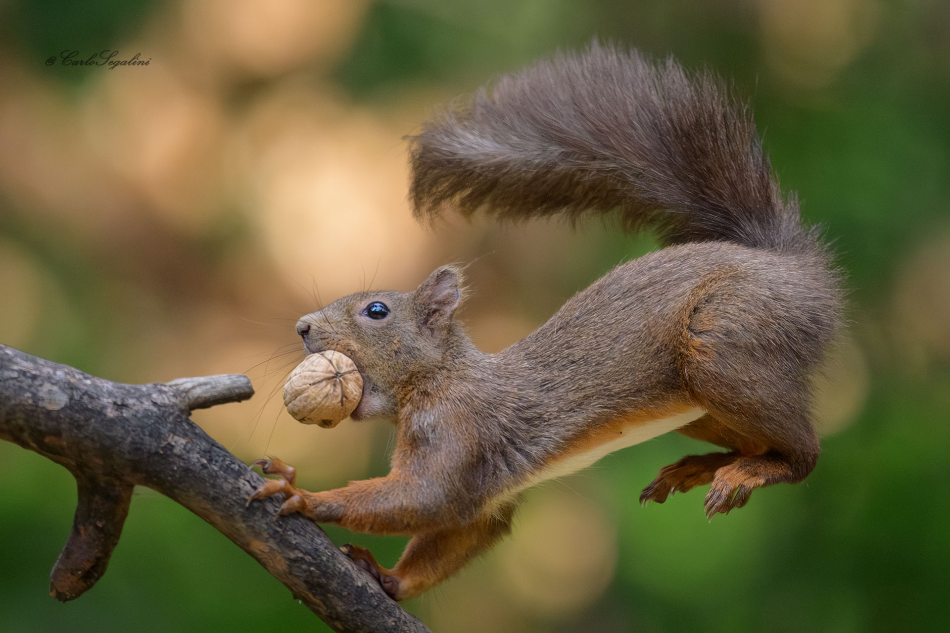 Di ritorno con la merenda