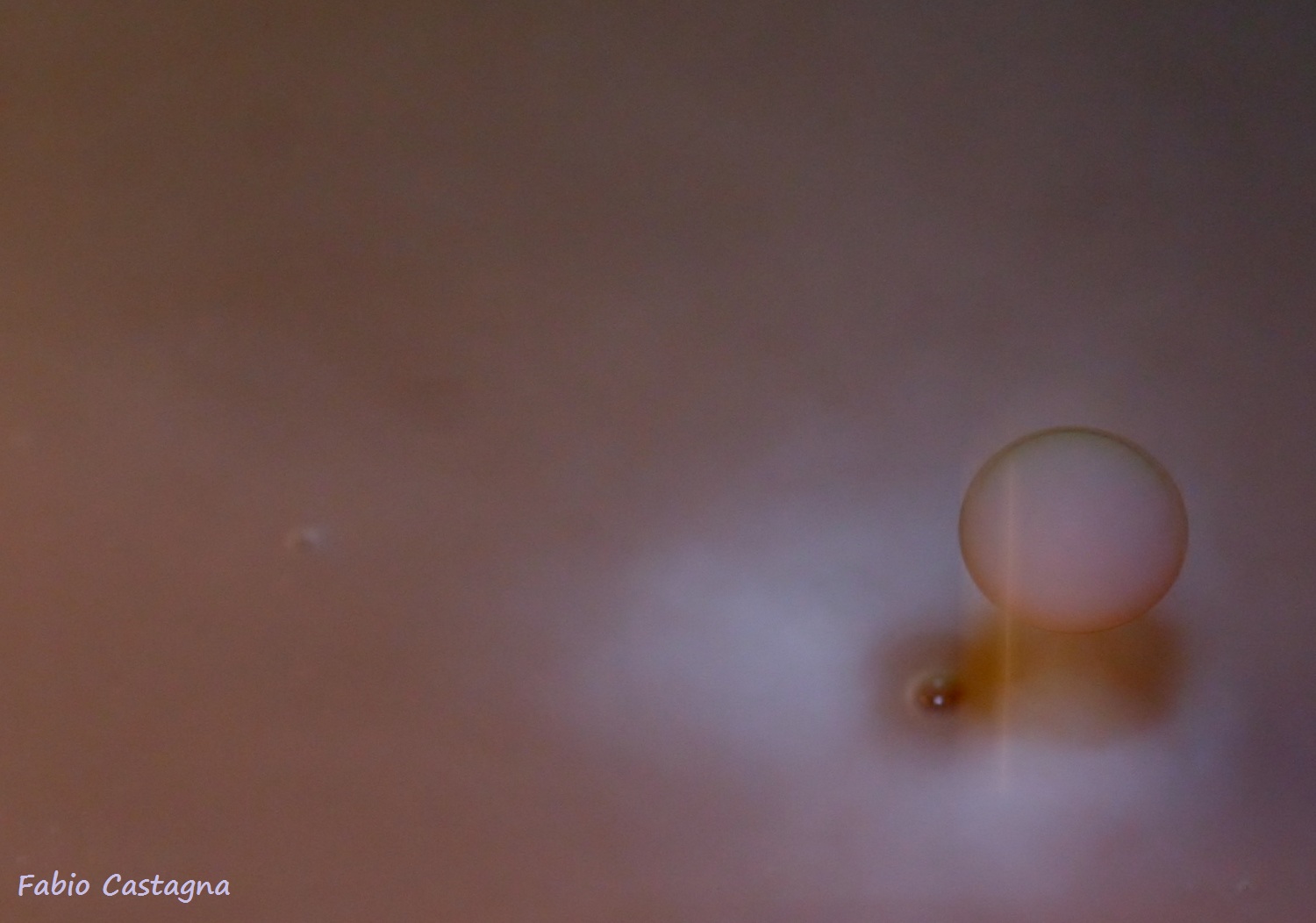 Goccia di latte 4