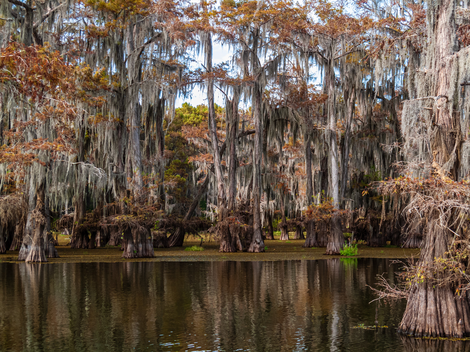 Caddo Lake
