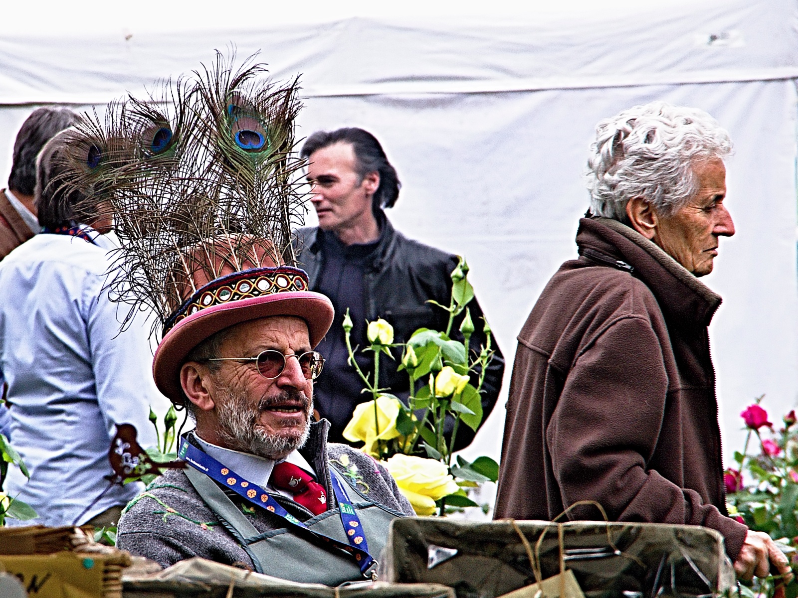 ... with peacock feathers...
