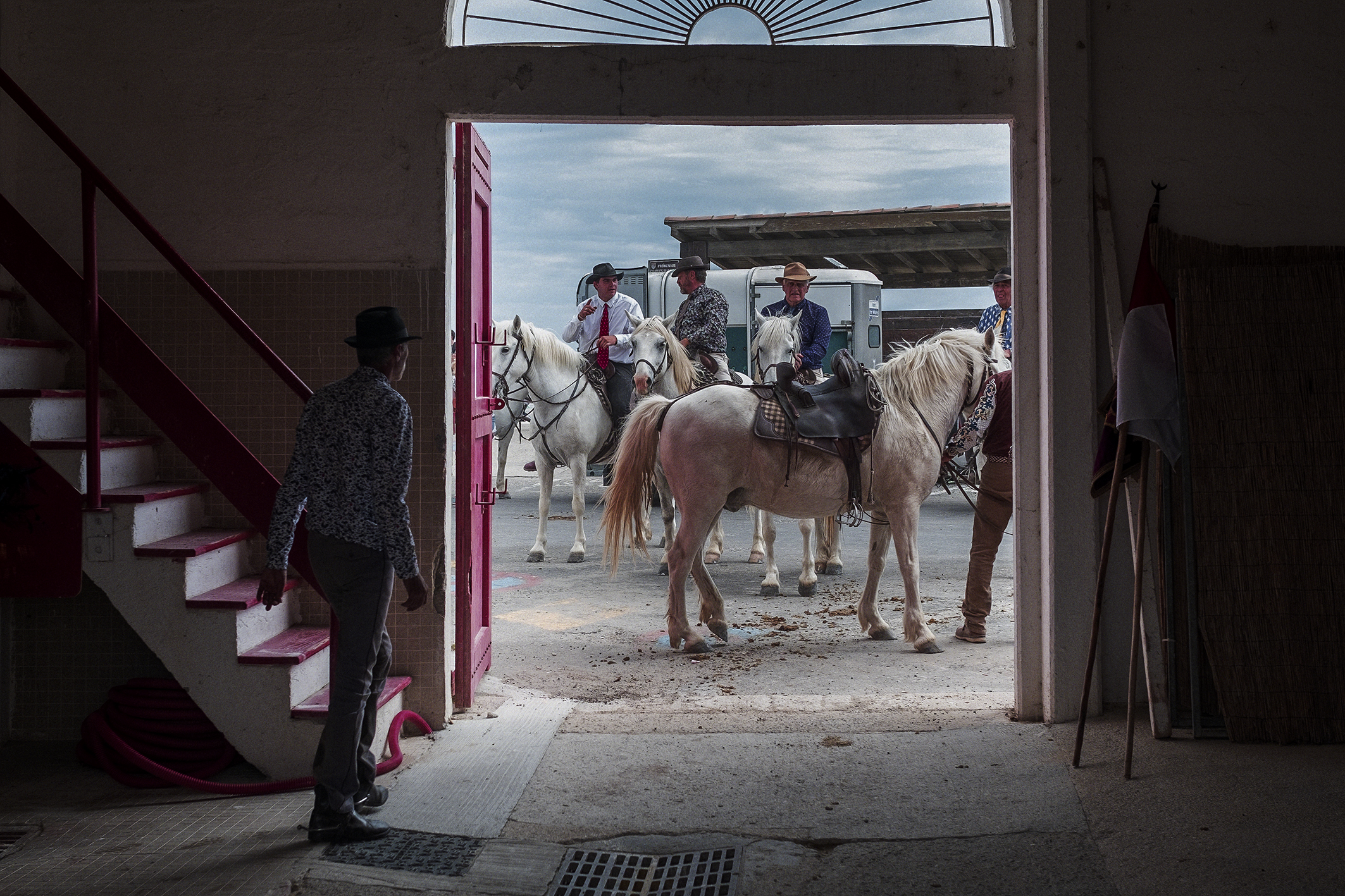 Guardianos in Camargue