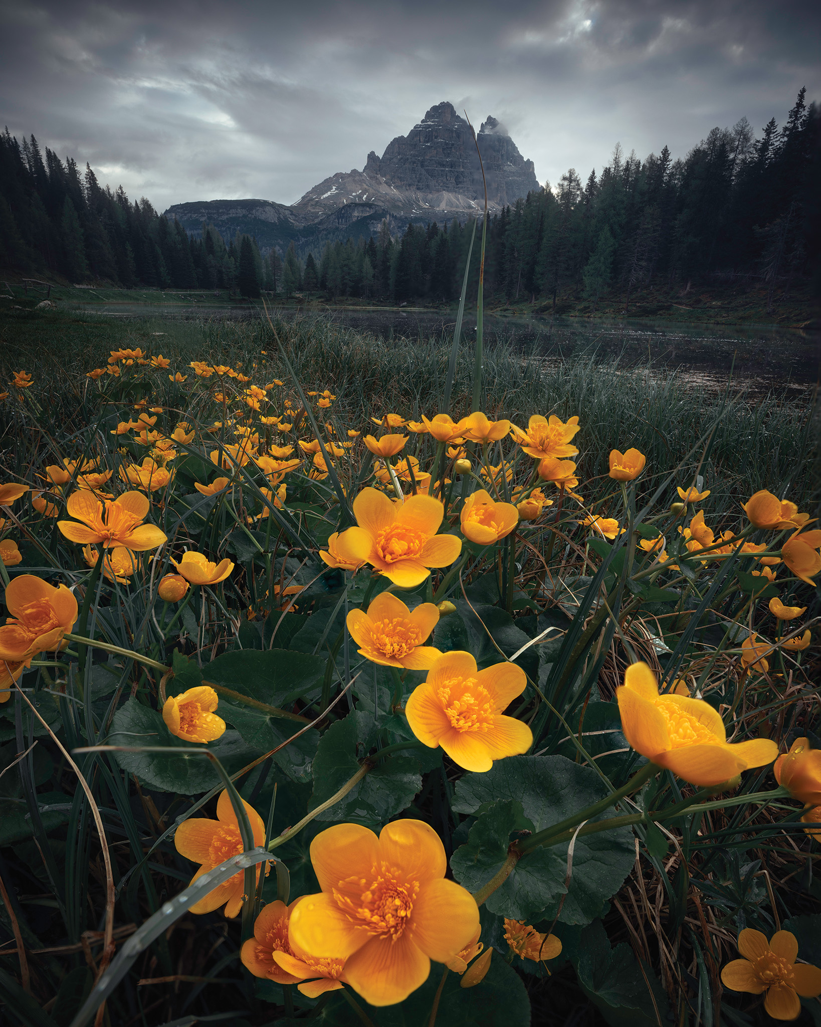 Spring in the Dolomites