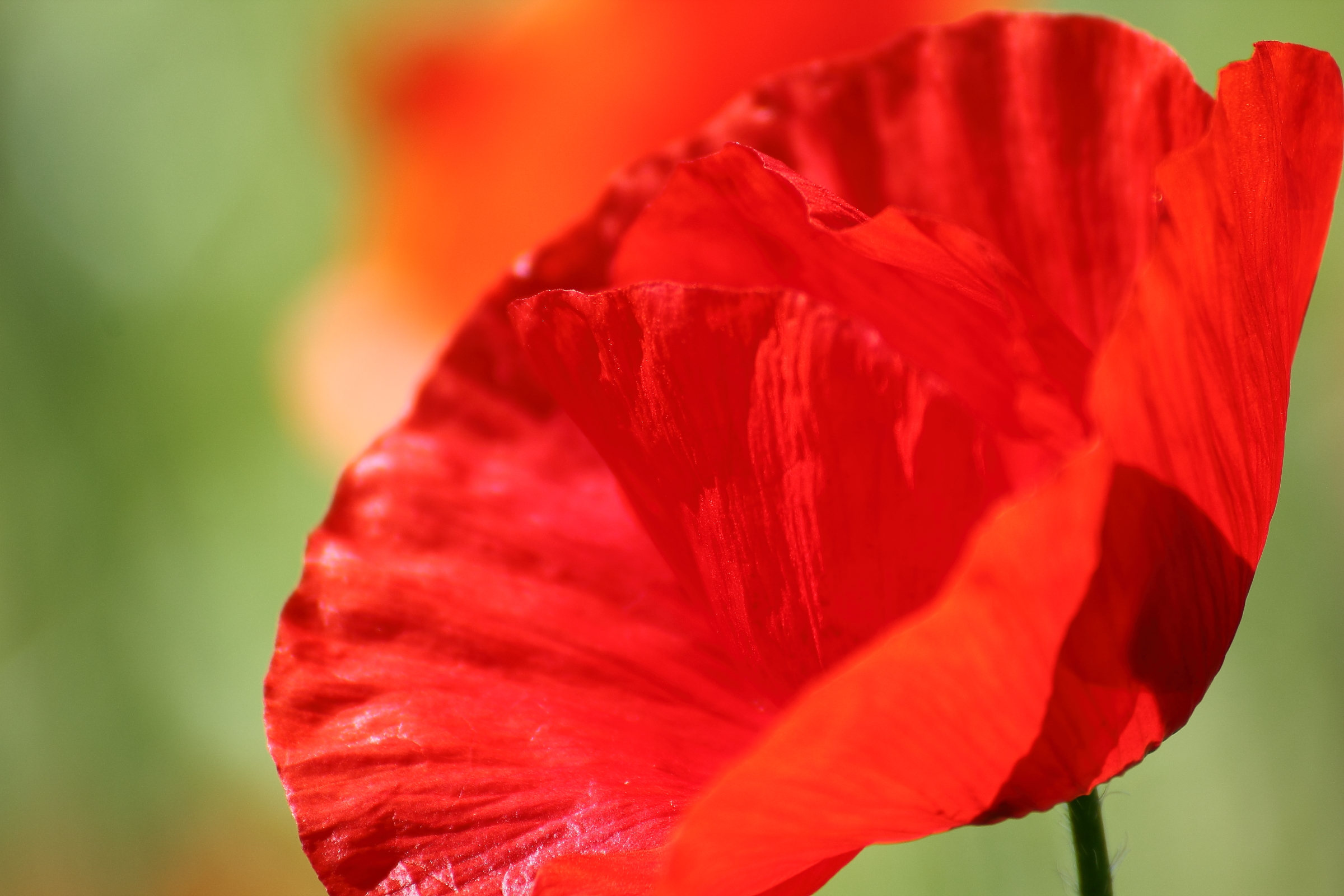 Aspettando un bacio...