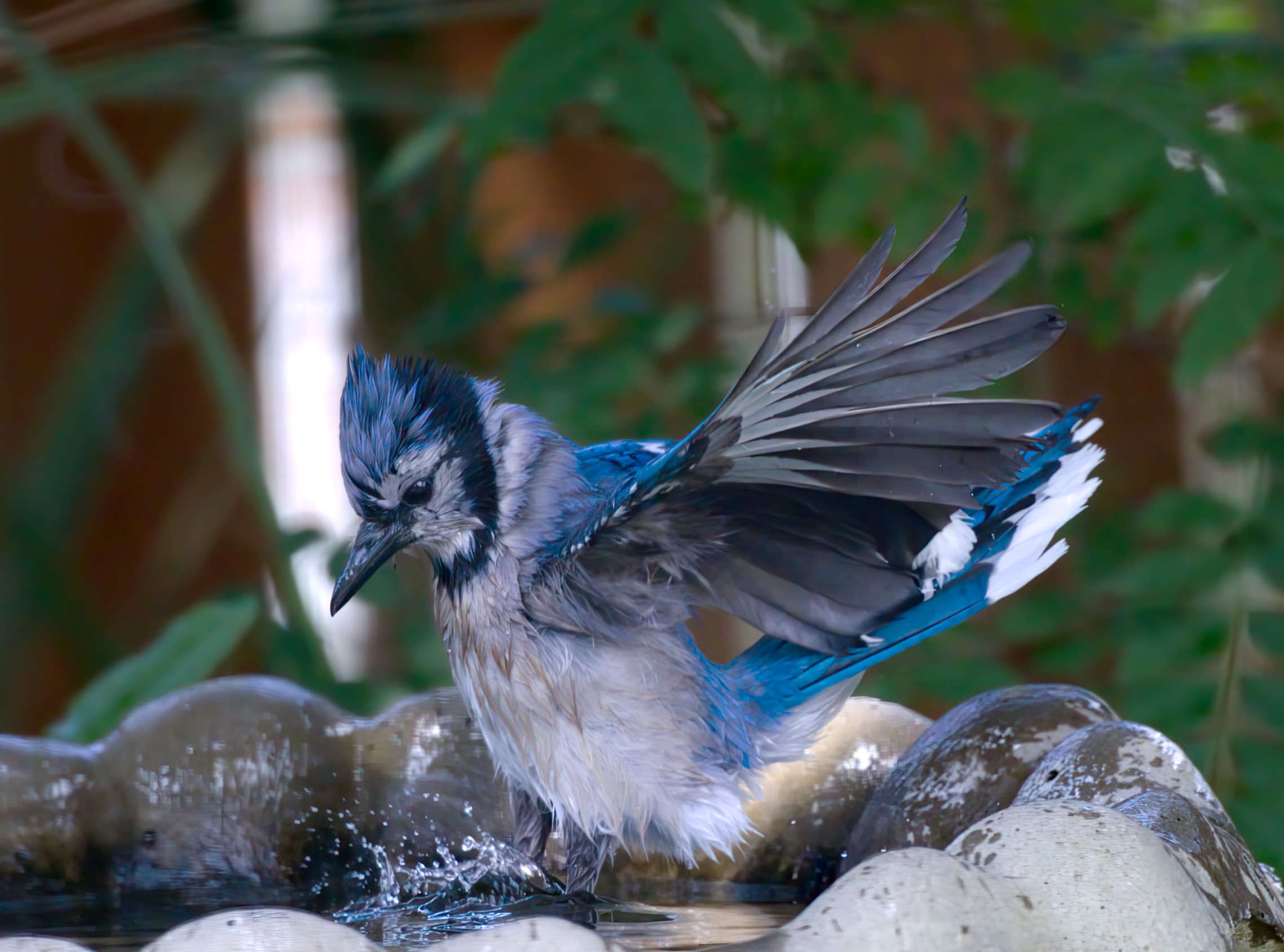 Giornata calda, acqua fredda