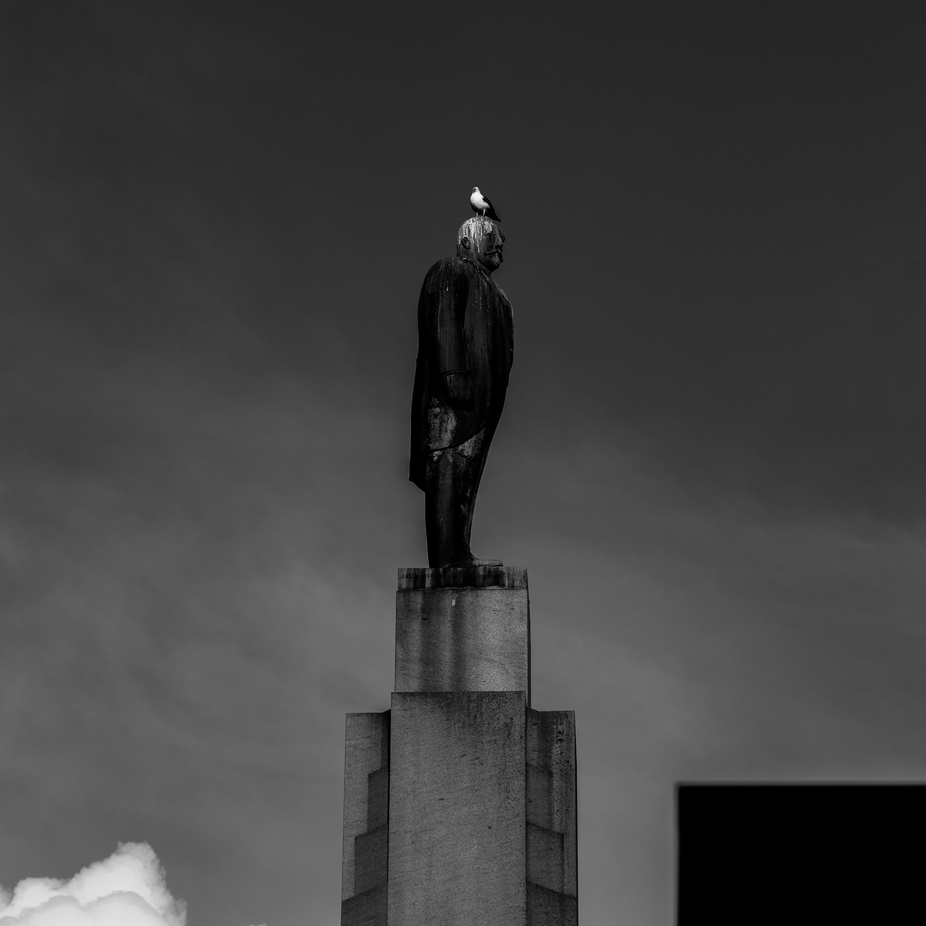 Sentirmi importante mi fa venire i capelli bianchi