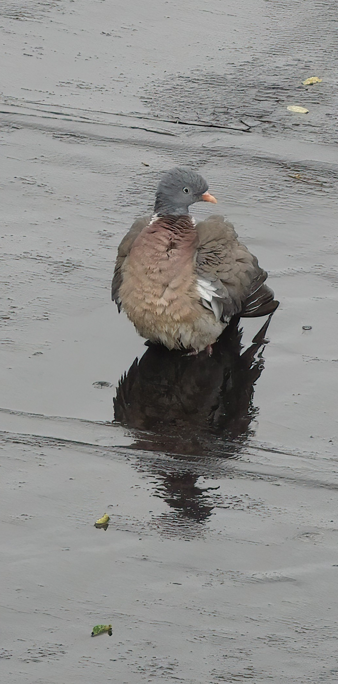 It's time ti take a shower