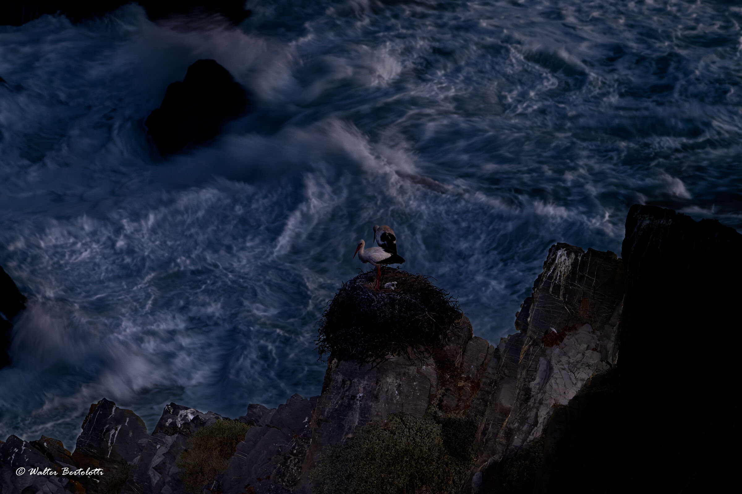 Night on the cliff