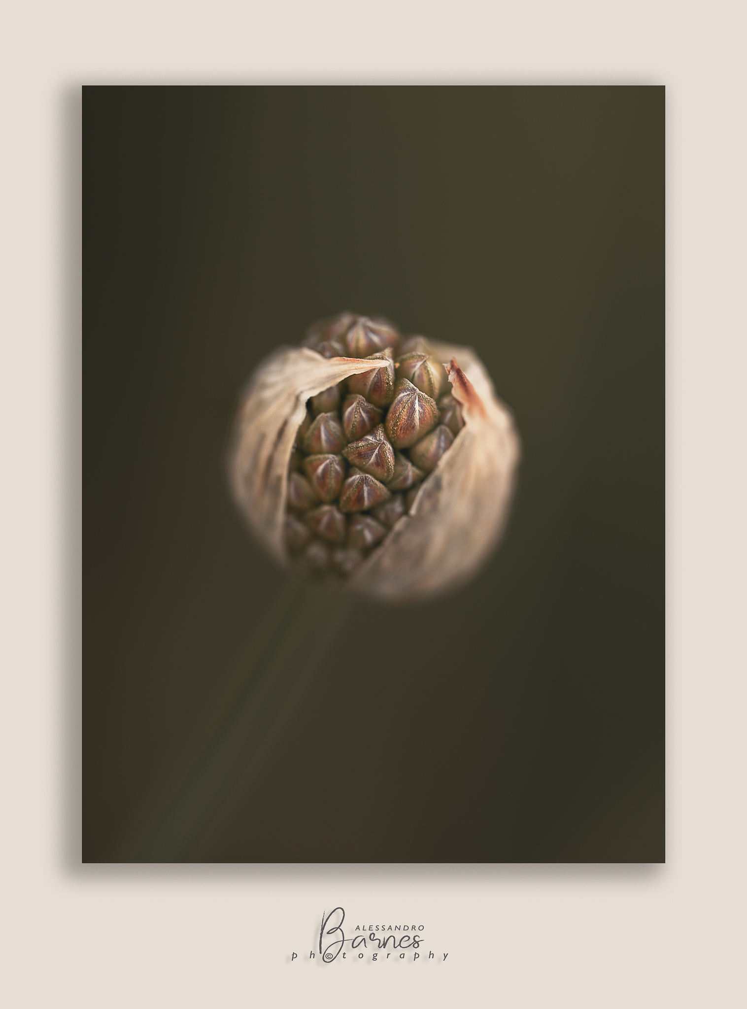 Come in un caldo abbraccio