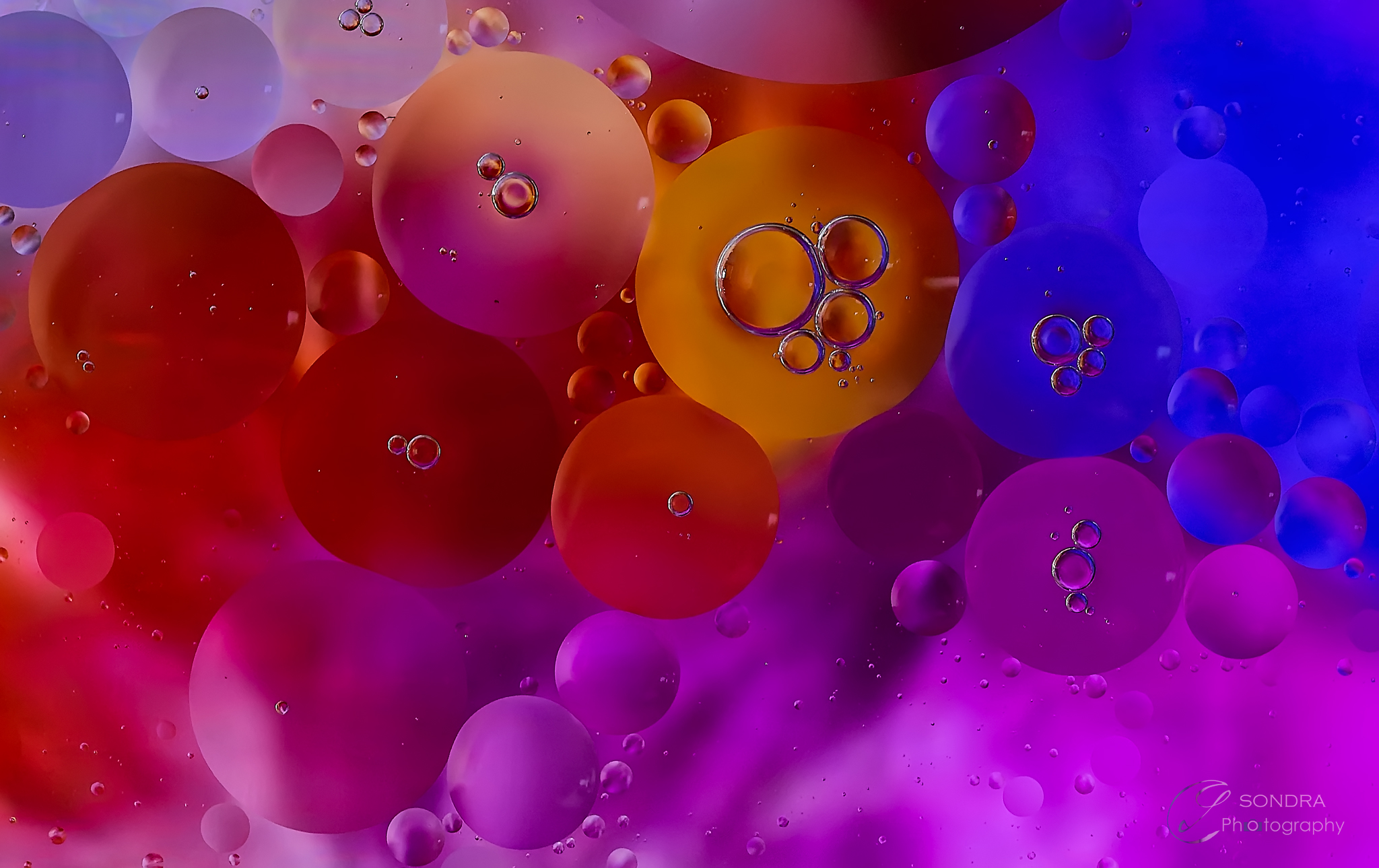 Bolleee Water Oil Colors