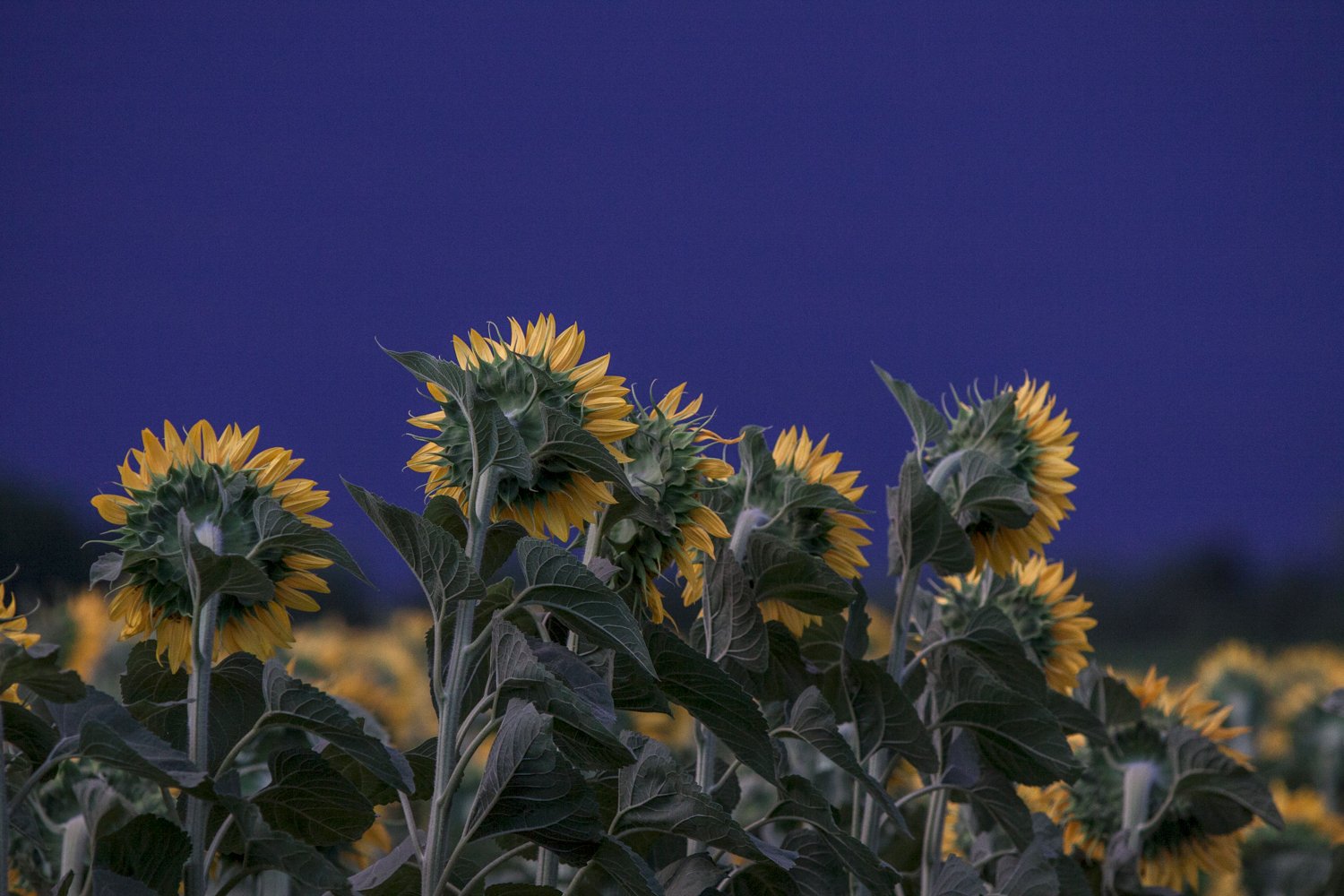 Waiting for the storm