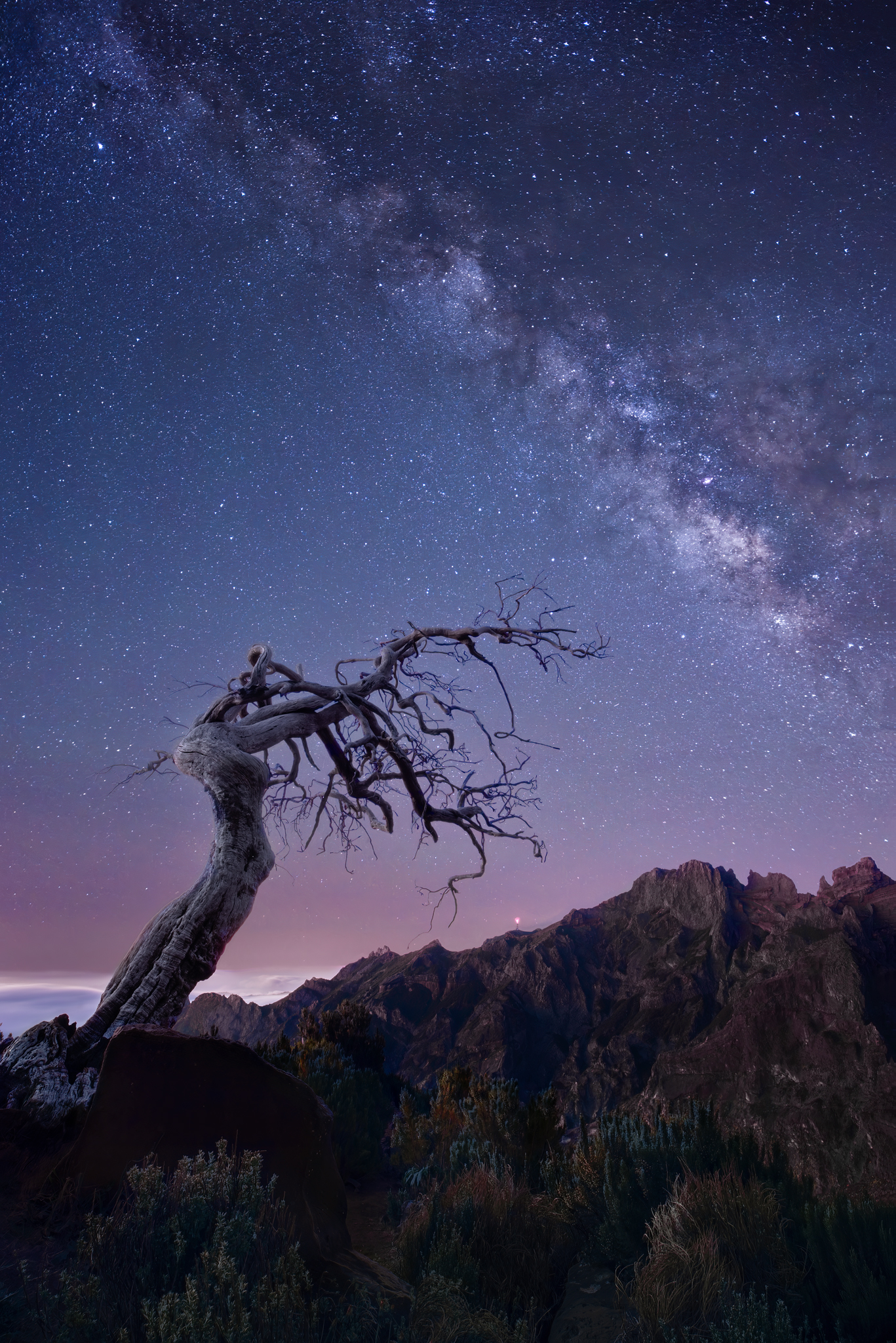 Attracted by the stars