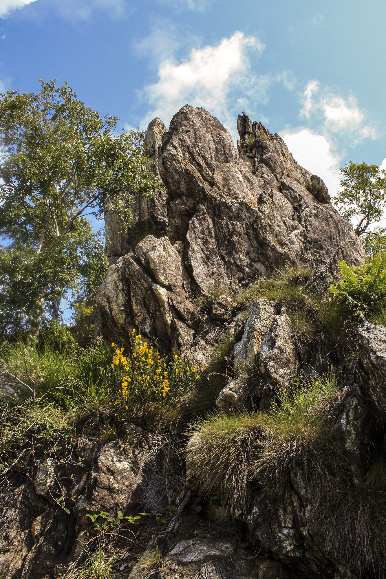 Salendo al monte Faiè