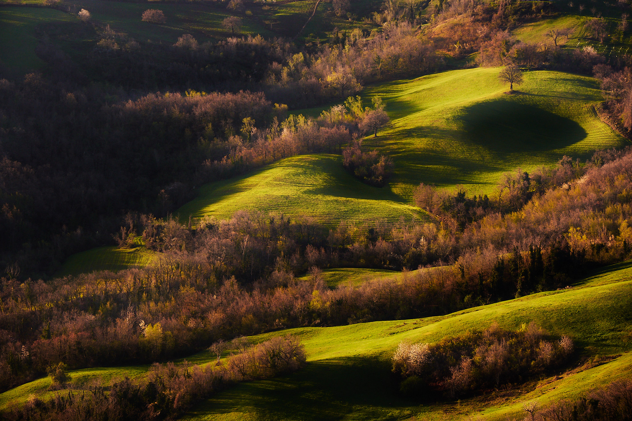 colline del Montefeltro