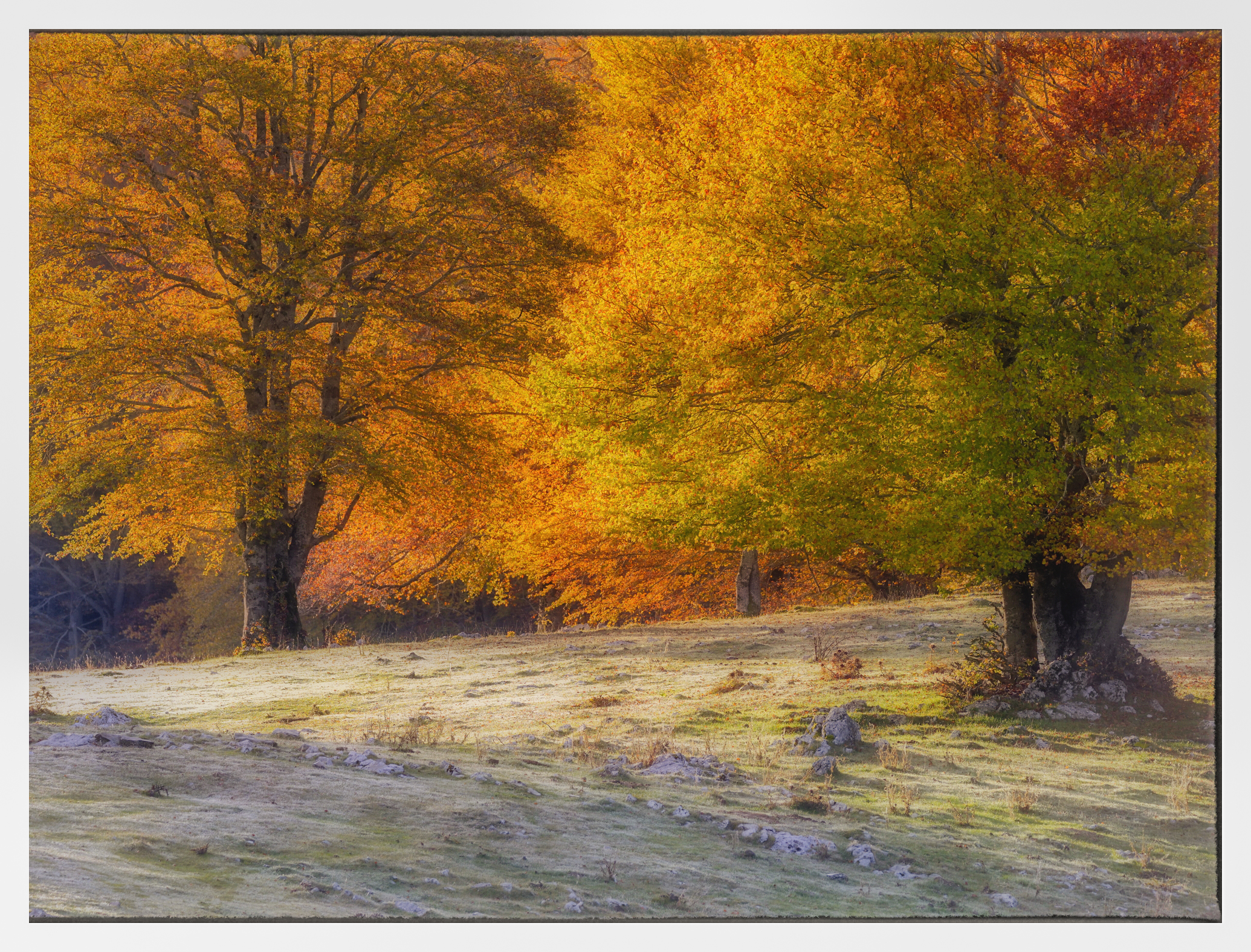 Photo re-proposed on the advice of a fellow amateur photogra...