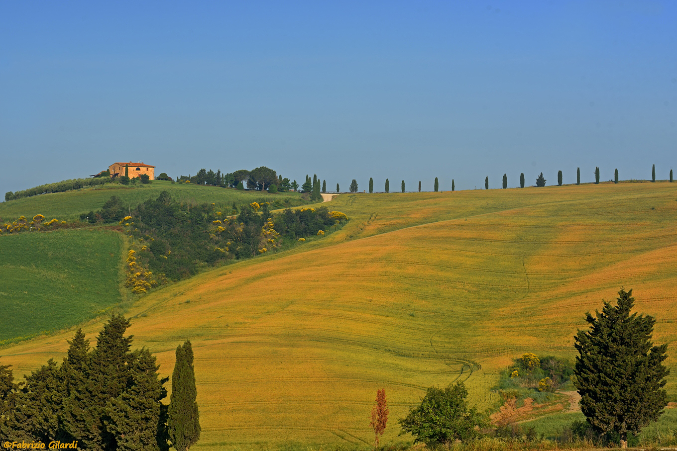 Pienza (si)