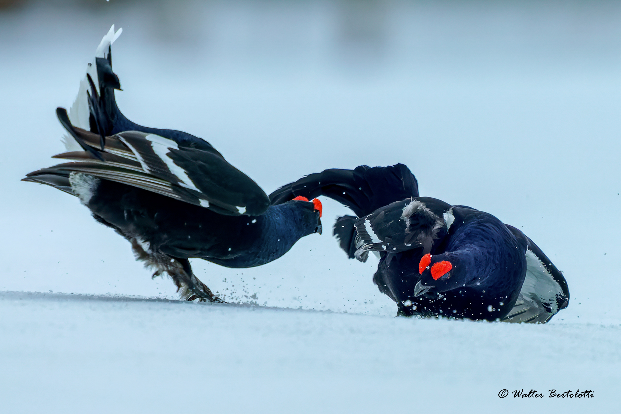 vittoria e sconfitta