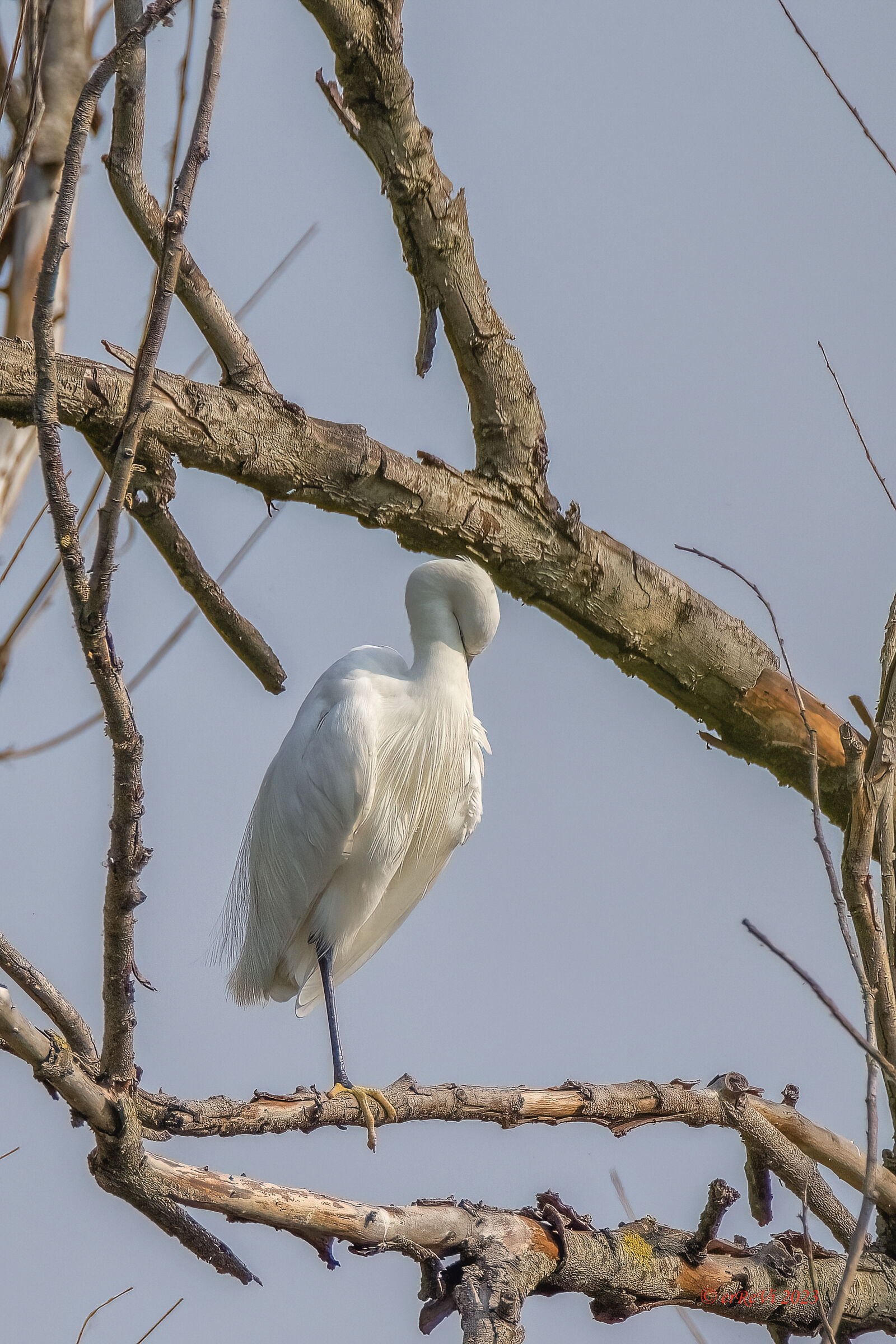 No come on... I am ashamed.