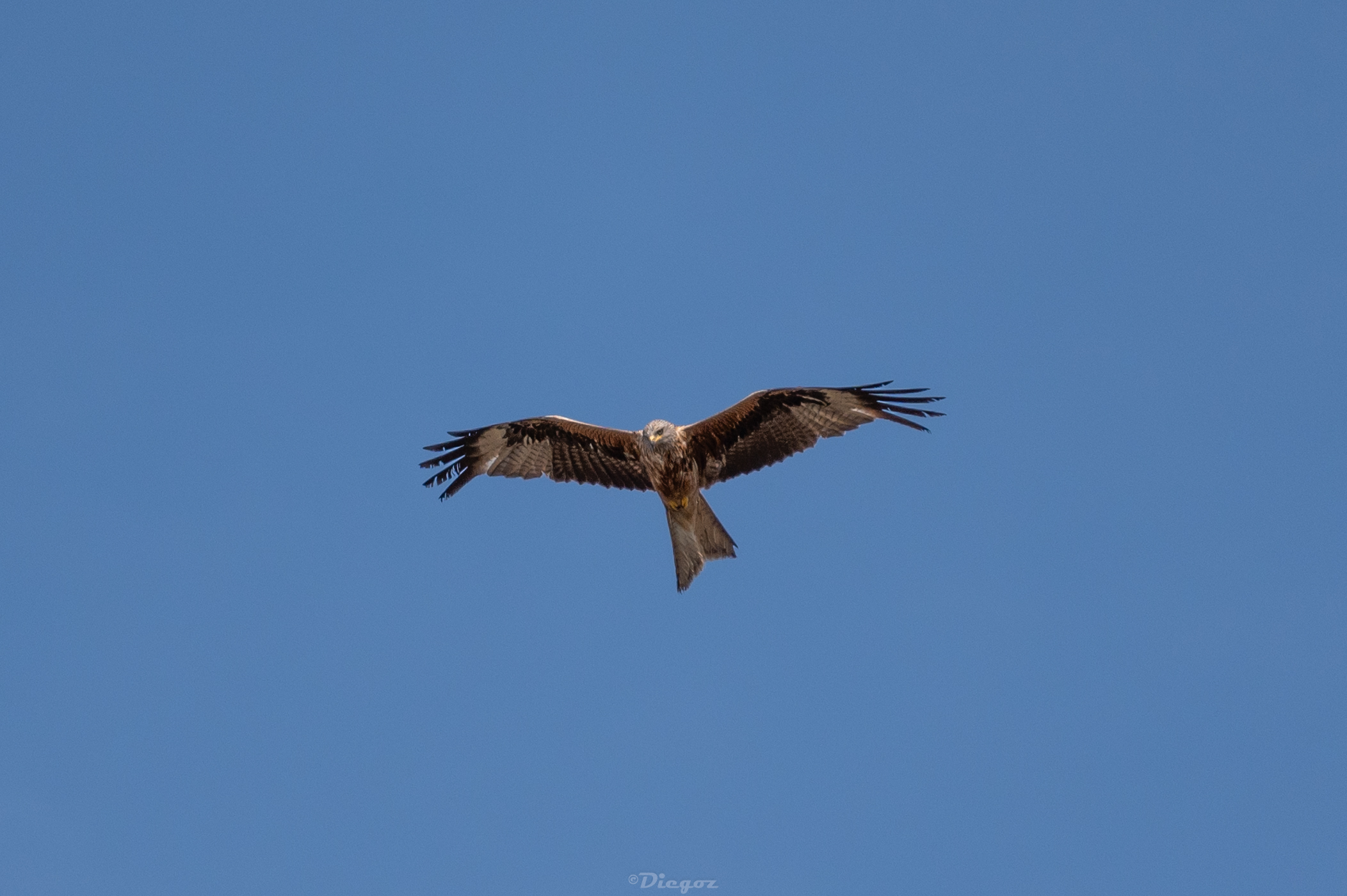 Untitled Photo