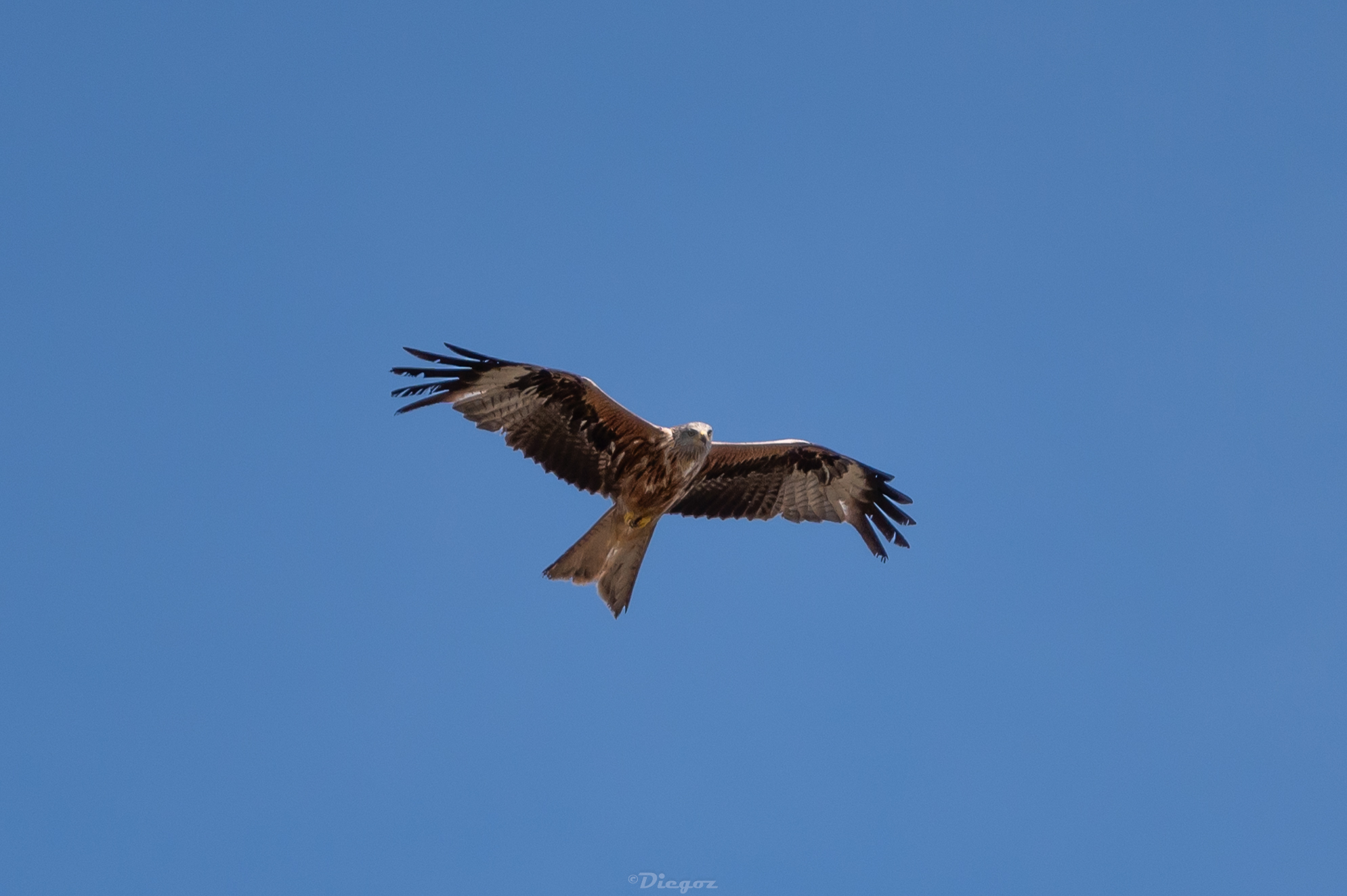 Untitled Photo