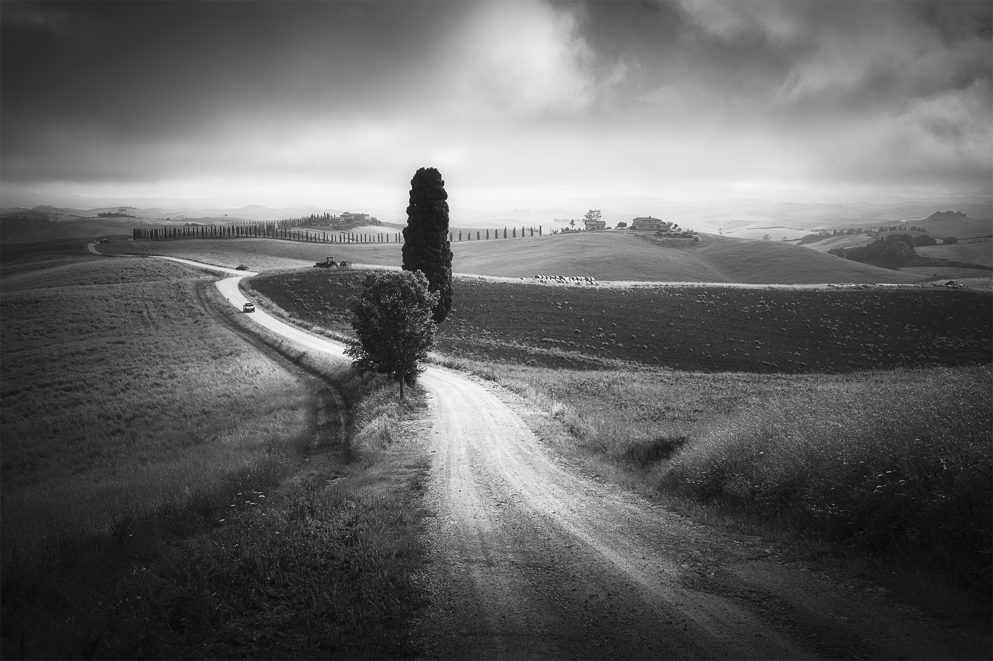 White street photography 1