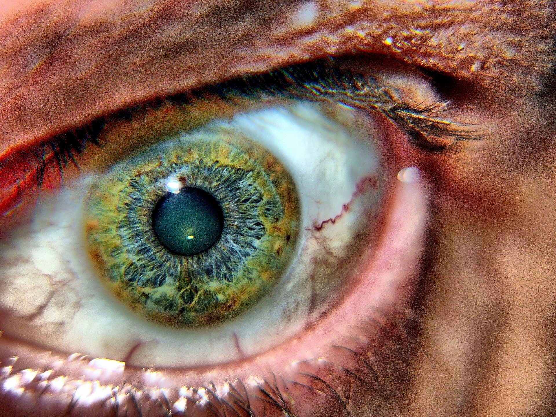 GreenEye Property