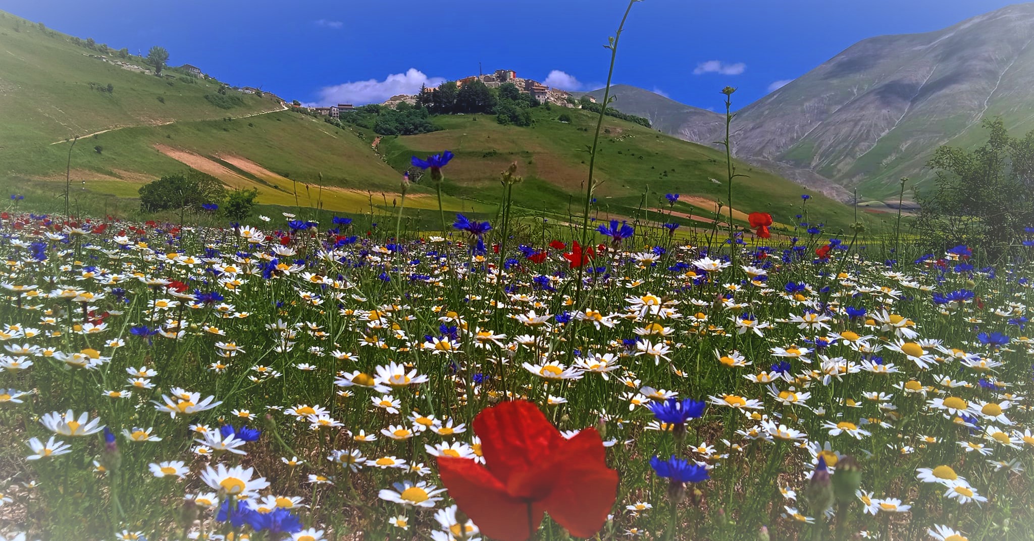 castelluccio