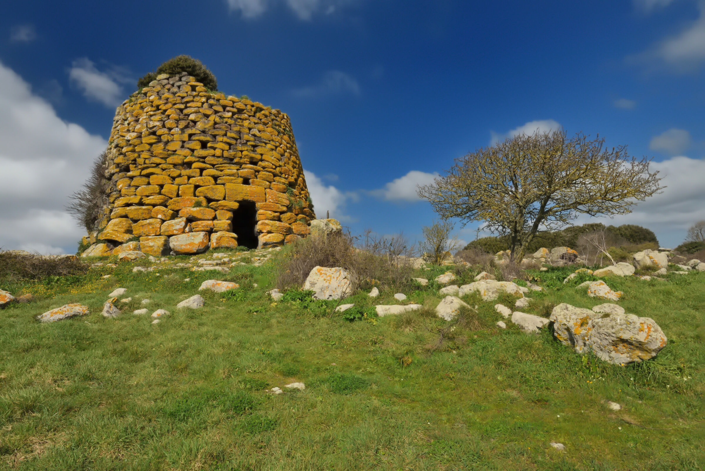 Nuraghe Succoronis Macomer