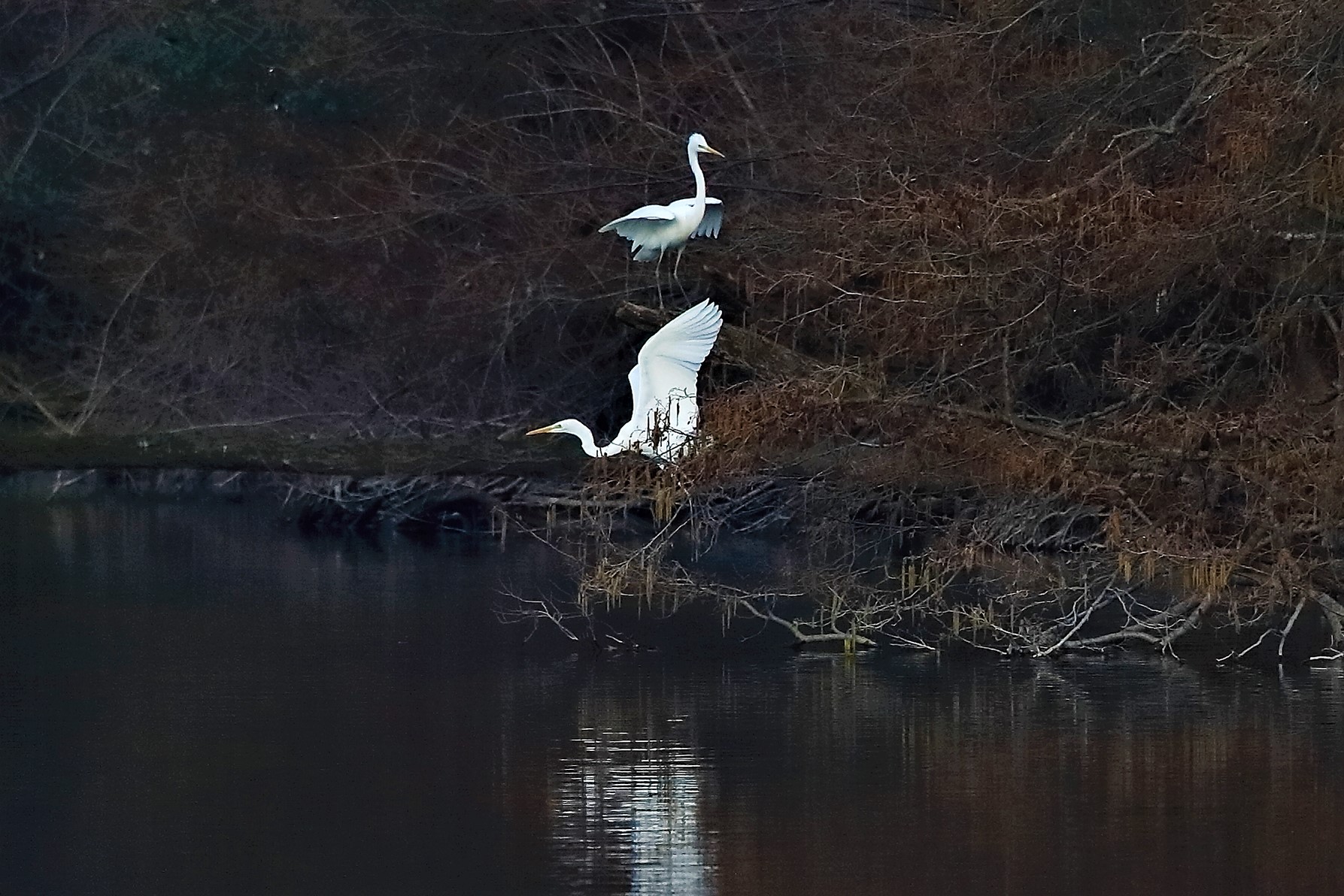 Aironi BM 04 marzo 2023