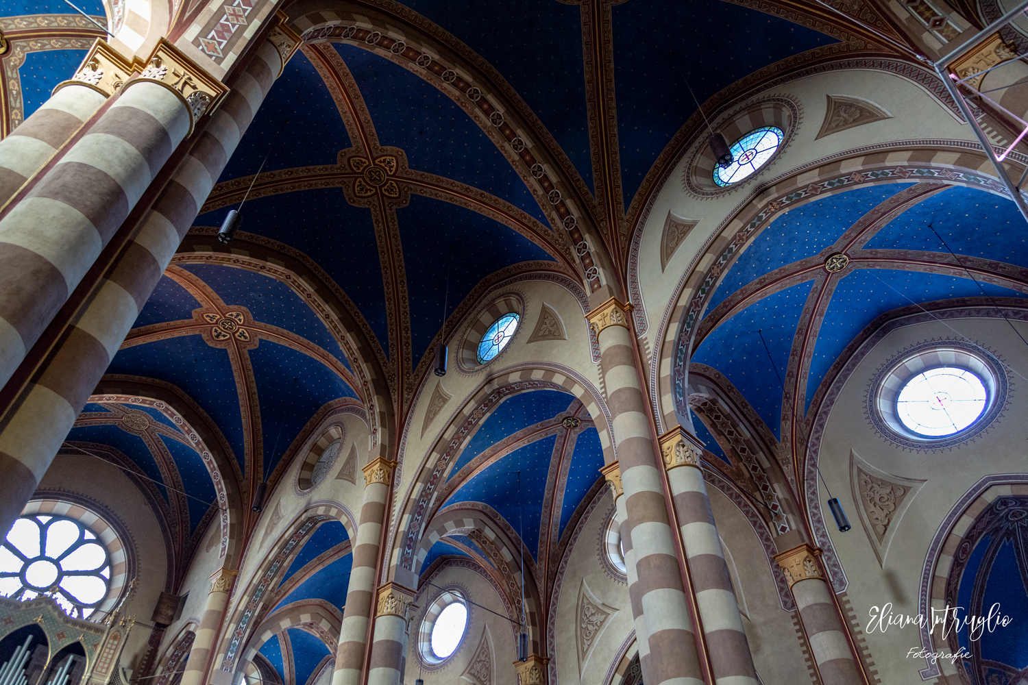 The Cathedral of Alba