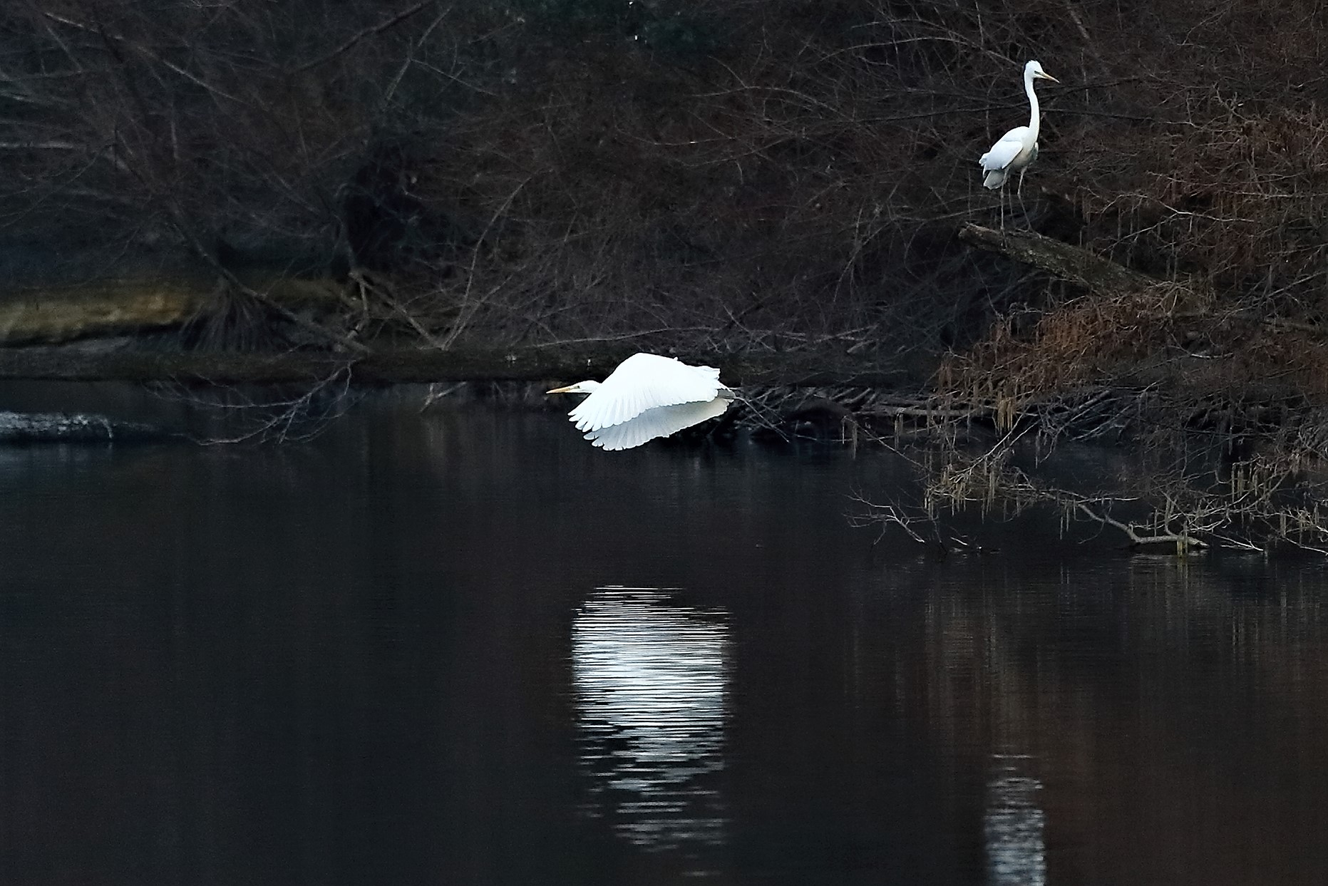 Aironi BM 04 marzo 2023